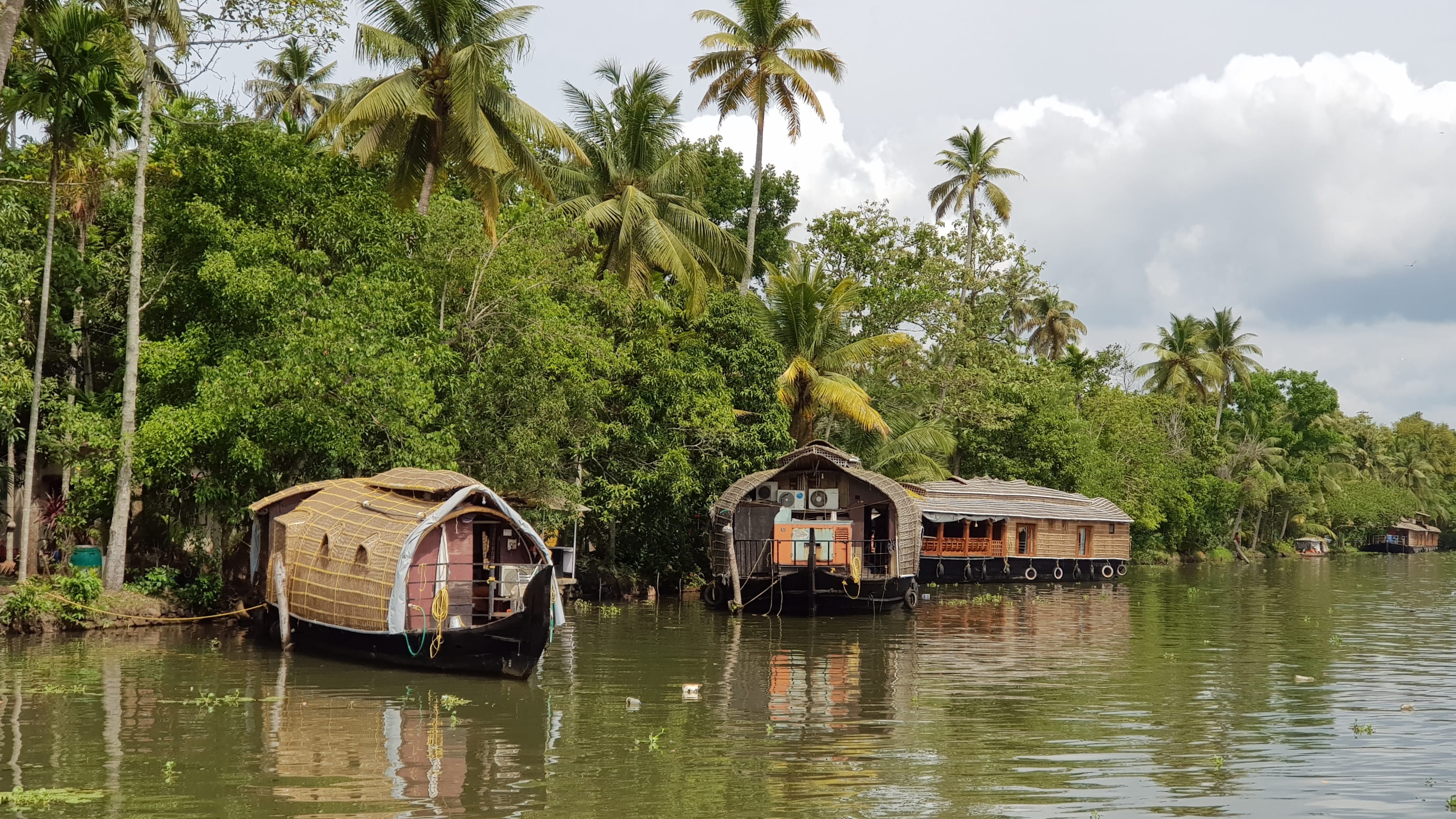 green color, mode of transportation, built structure, india, houseboat, water, reflection, backwaters, growth, cochin, waterfront, tropical climate, day, HD Wallpaper