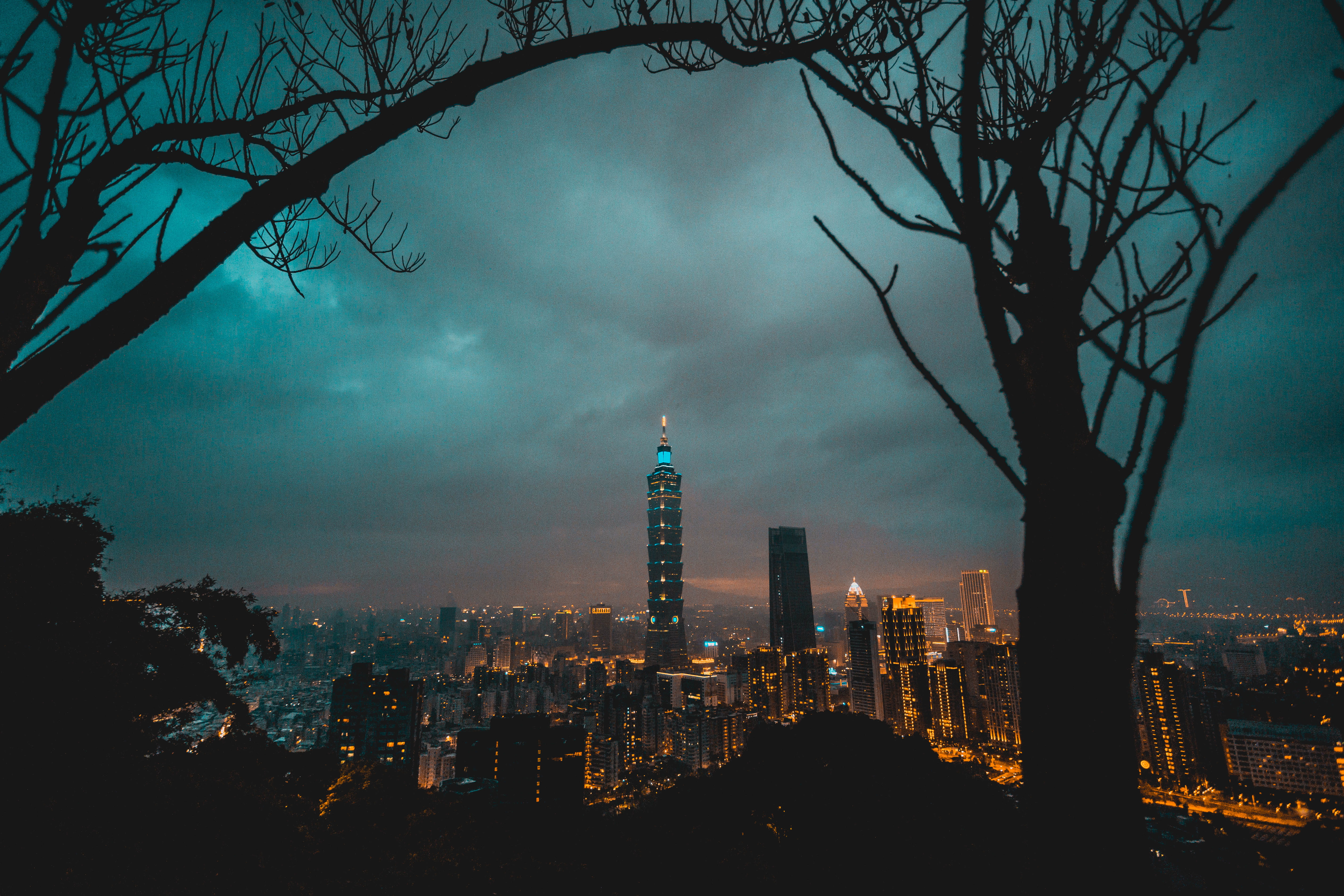 light, building, urban, cityscape, landscape, tree, urban skyline, life, skyscraper, nighttime, taipei101, nature, background, financial district, residential district, HD Wallpaper