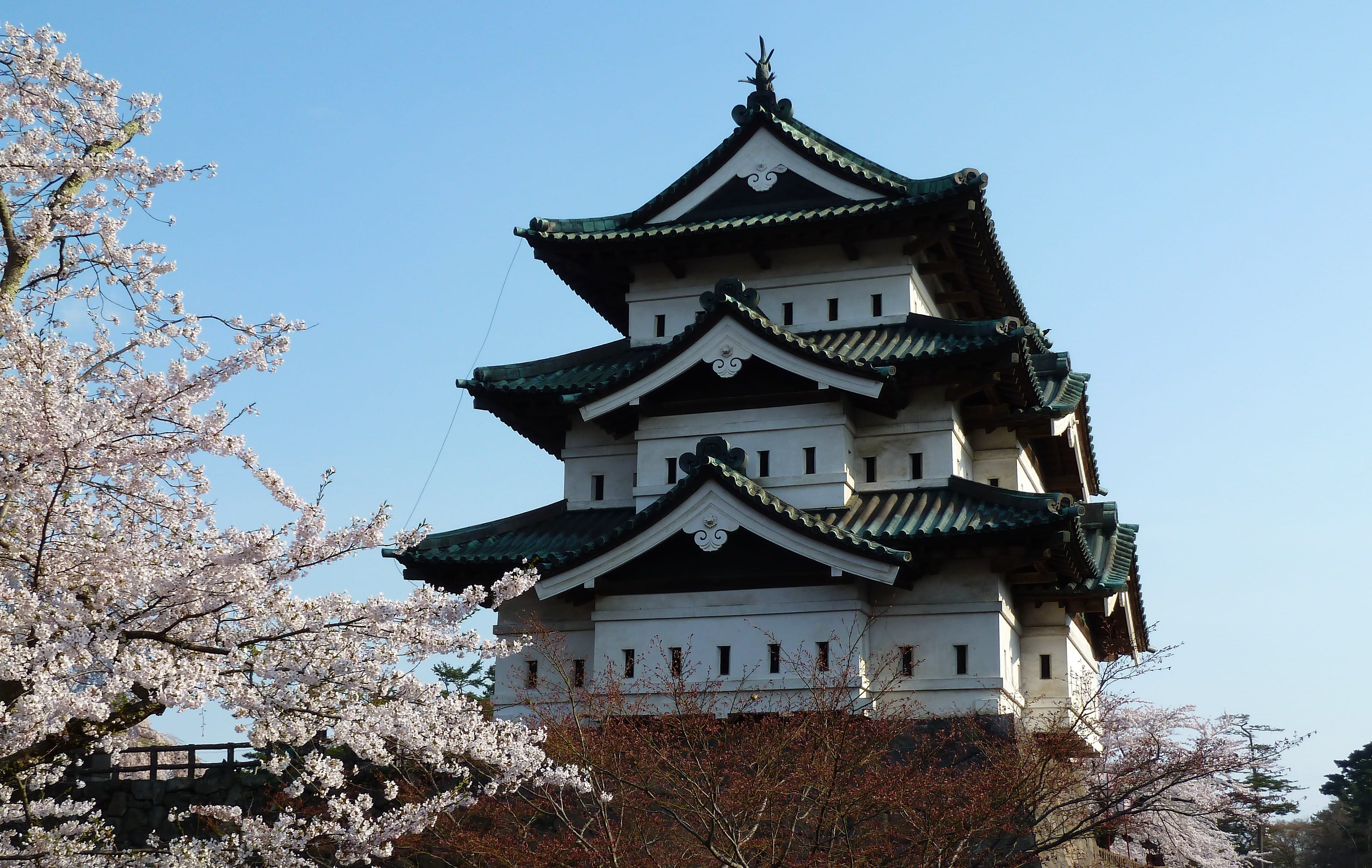 tree, ancient, landmark, spring, springtime, building Exterior, trees, outdoors, east Asian Culture, built structure, architecture And Buildings, plant, HD Wallpaper
