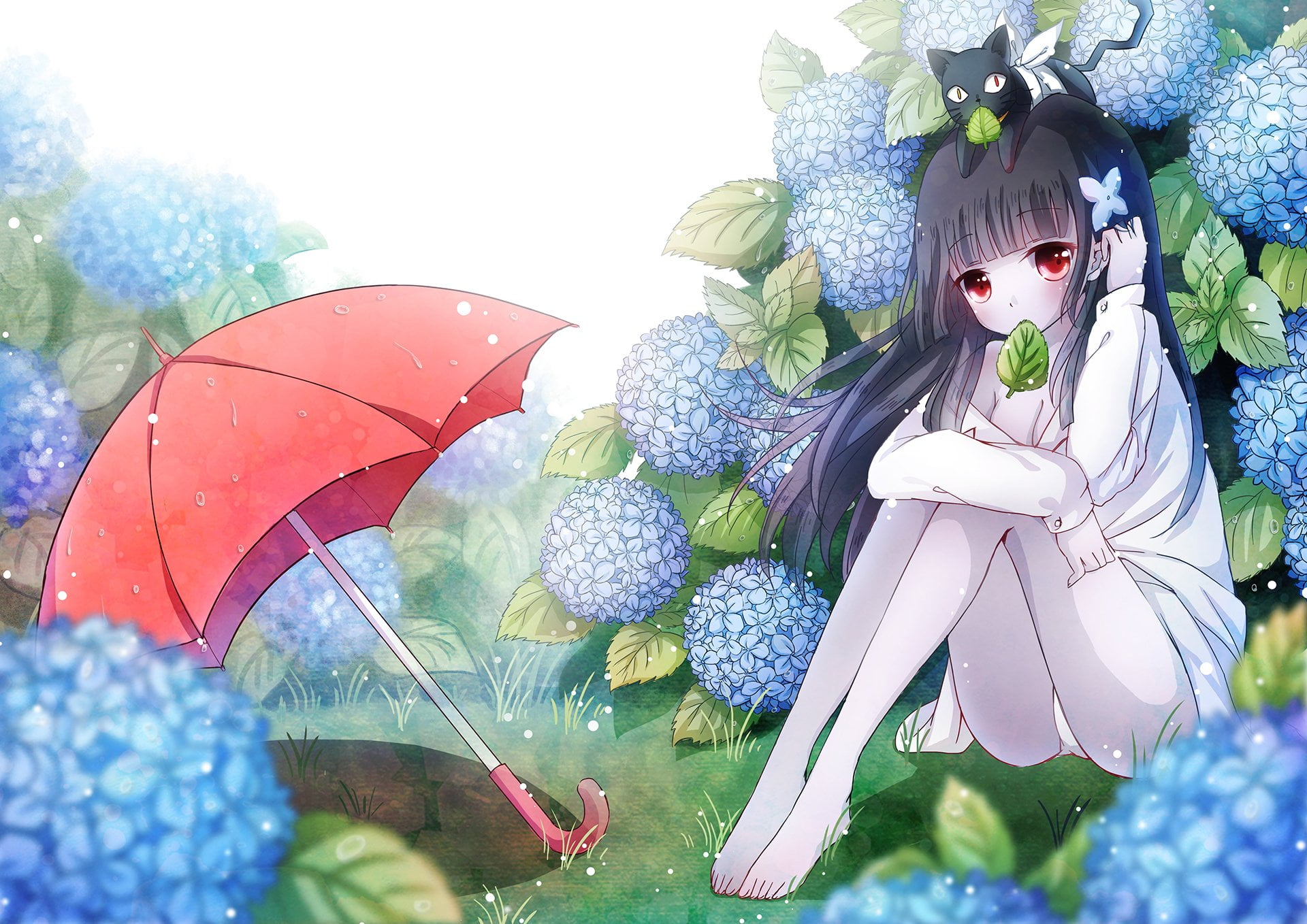 day, flowering plant, plant, flower arrangement, fragility, water, Sankarea, protection, 1080P, beauty in nature, Anime, women, representation, celebration, HD Wallpaper