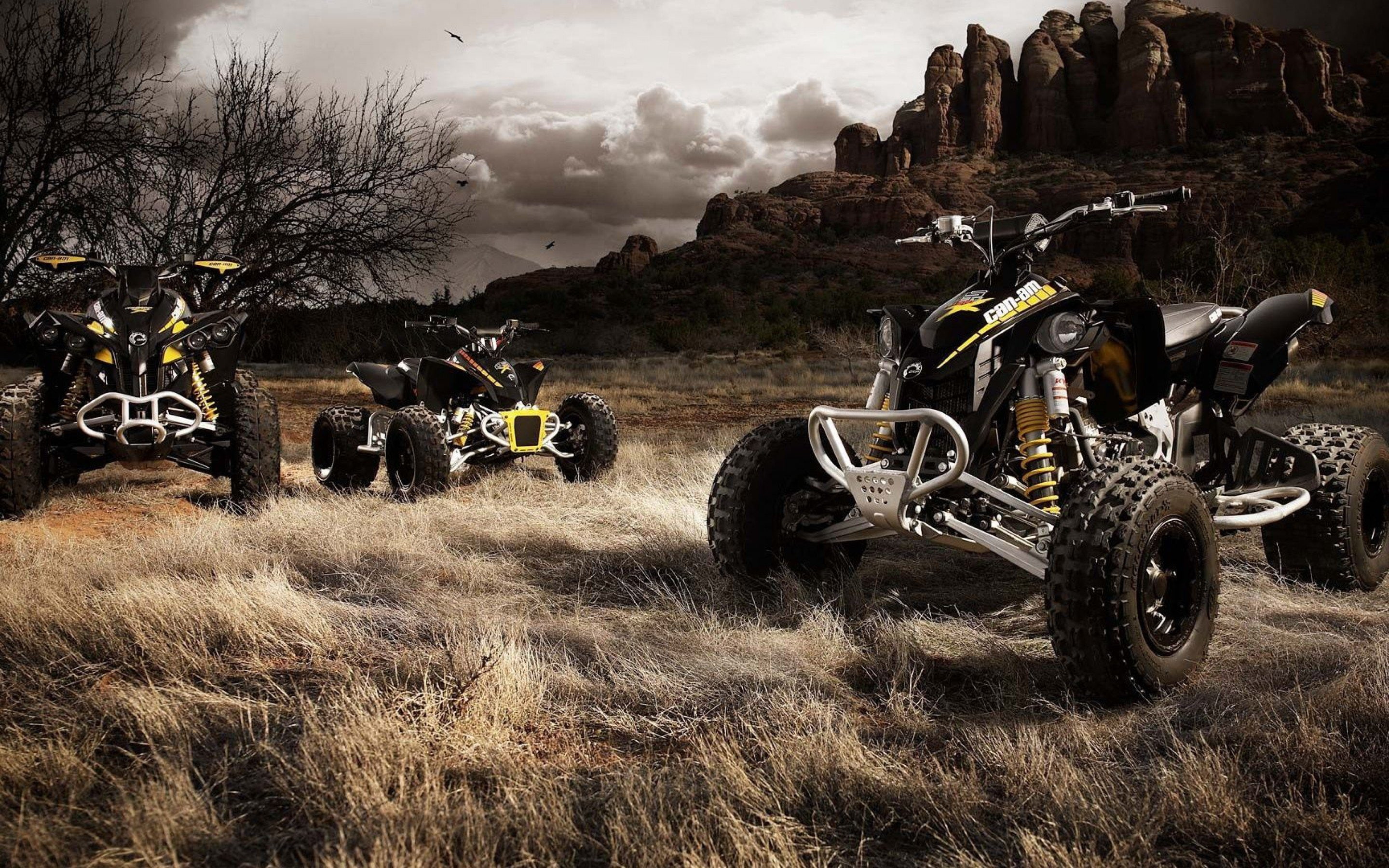 motorbike, quad, bike, moto, atv, 2K, 4x4, offroad, motorcycle, motocross, HD Wallpaper