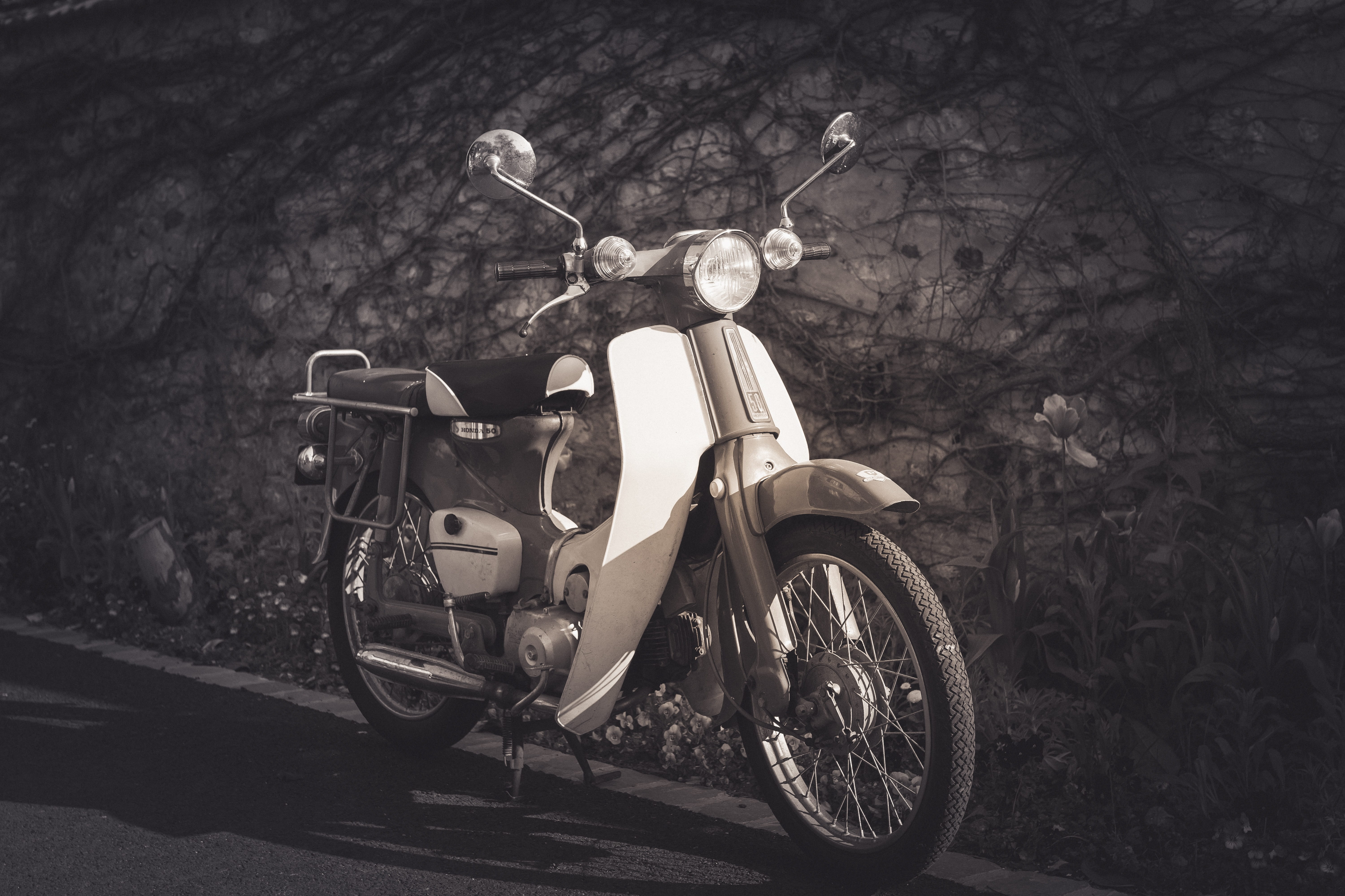 sun, ride, vehicle, tree, old, outdoors, vacation, transport, plant, engine, vintage, motorcycle, retro styled, trip, adventure, dom, transportation, riding, HD Wallpaper