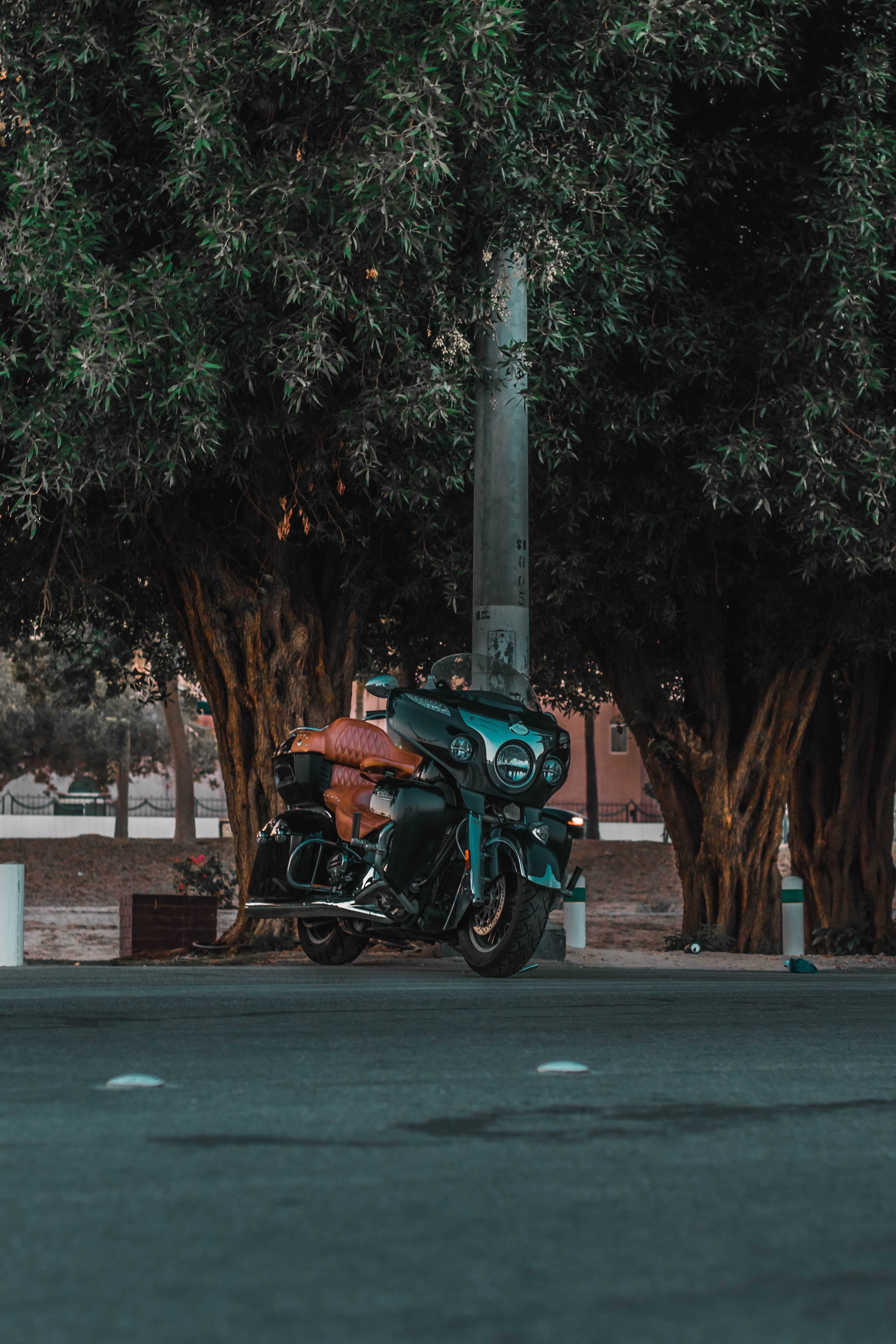 touring, land vehicle, tree trunk, green color, outdoors, mode of transportation, black, motor scooter, no people, scooter, street, 5K, tree, trees, city, Phone HD Wallpaper