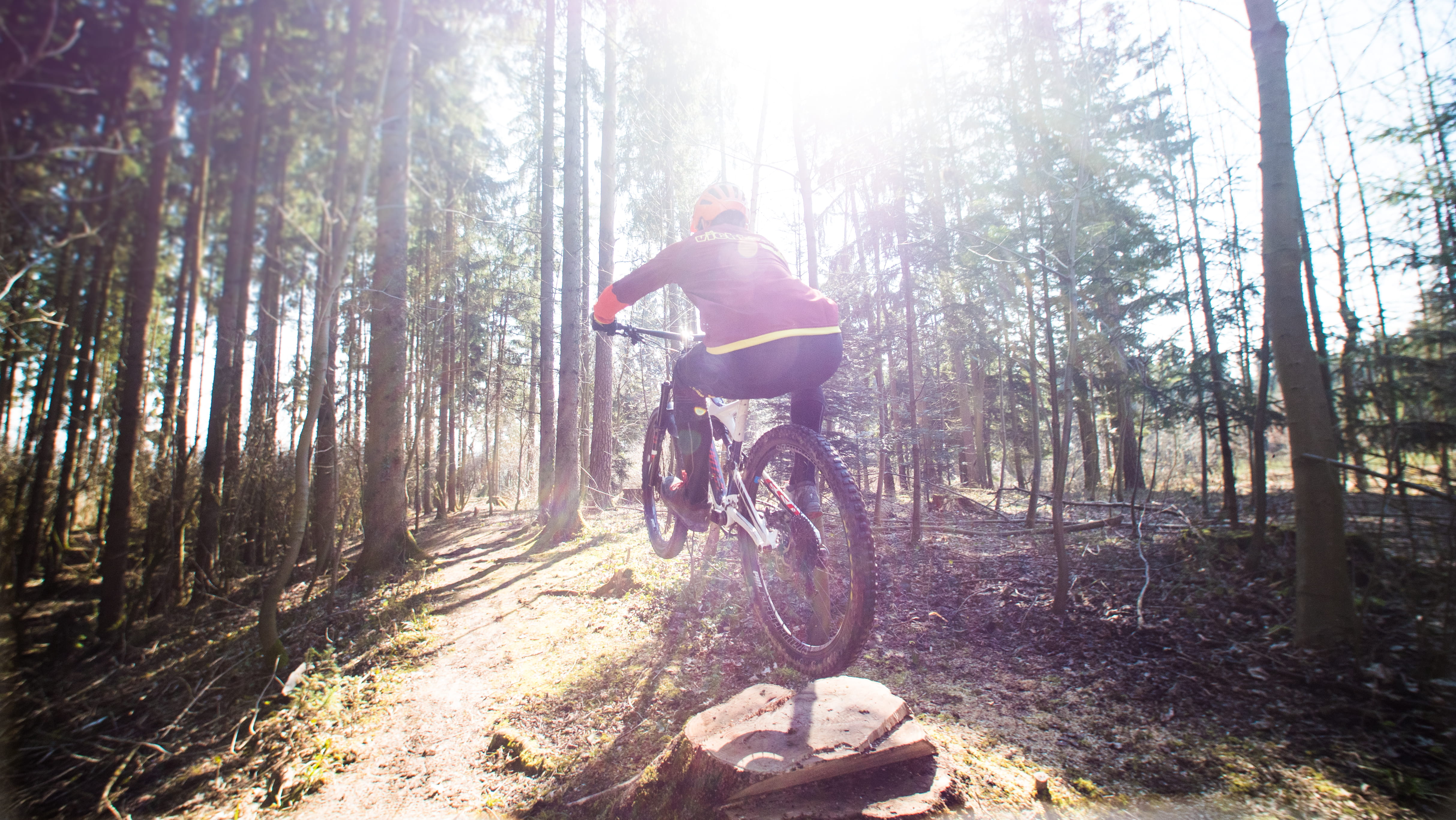 bicycle, activity, downhill, trail, hundsberg, lifestyles, andreas viehböck, outdoors, ride, day, buchkirchen, forest, riding, cycling, thomas schweighofer, HD Wallpaper