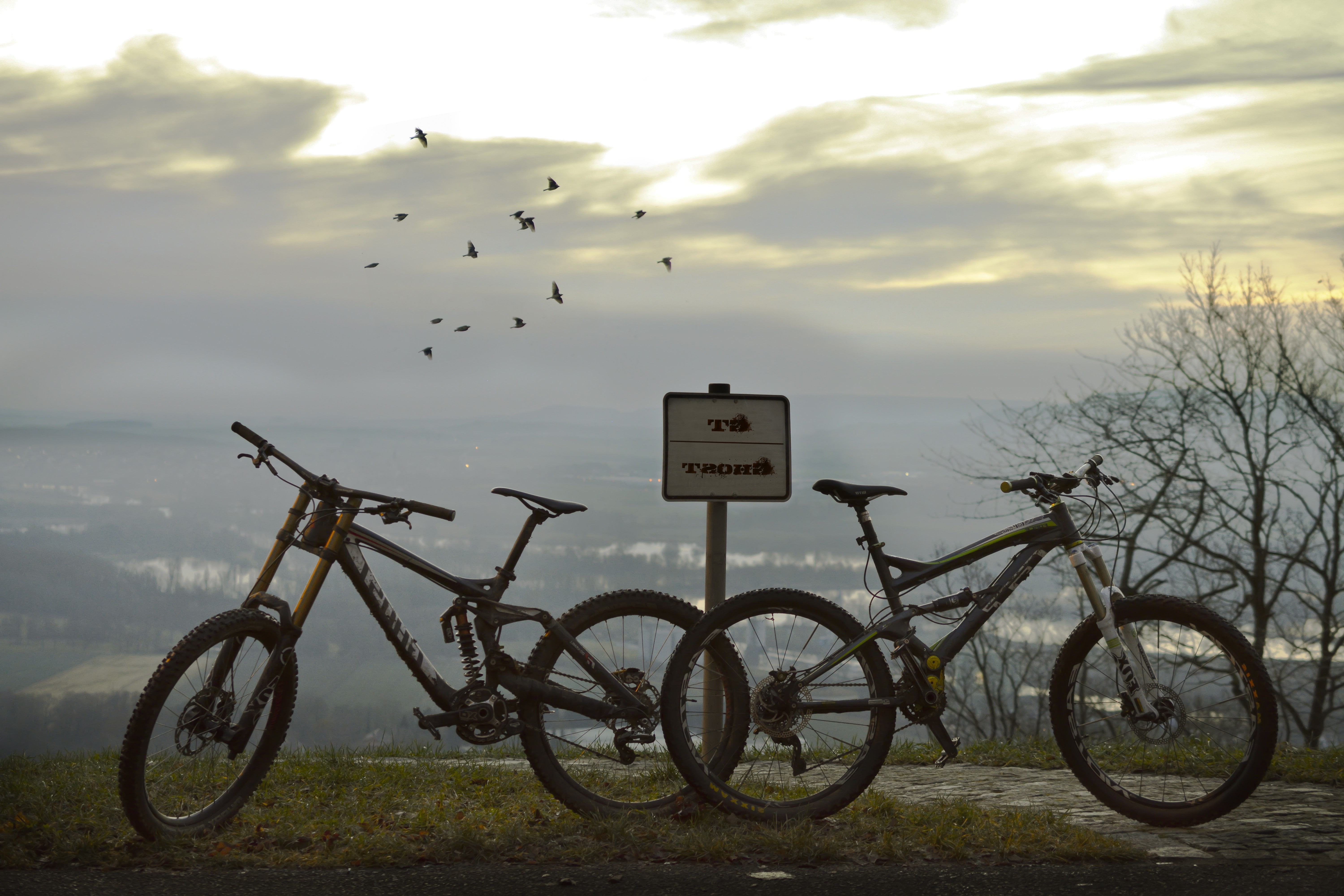 communication, animal, Downhill Mountain Biking, animal themes, bird, animal wildlife, sky, vertebrate, cloud - sky, Panoramas, outdoors, bicycle, transportation, HD Wallpaper