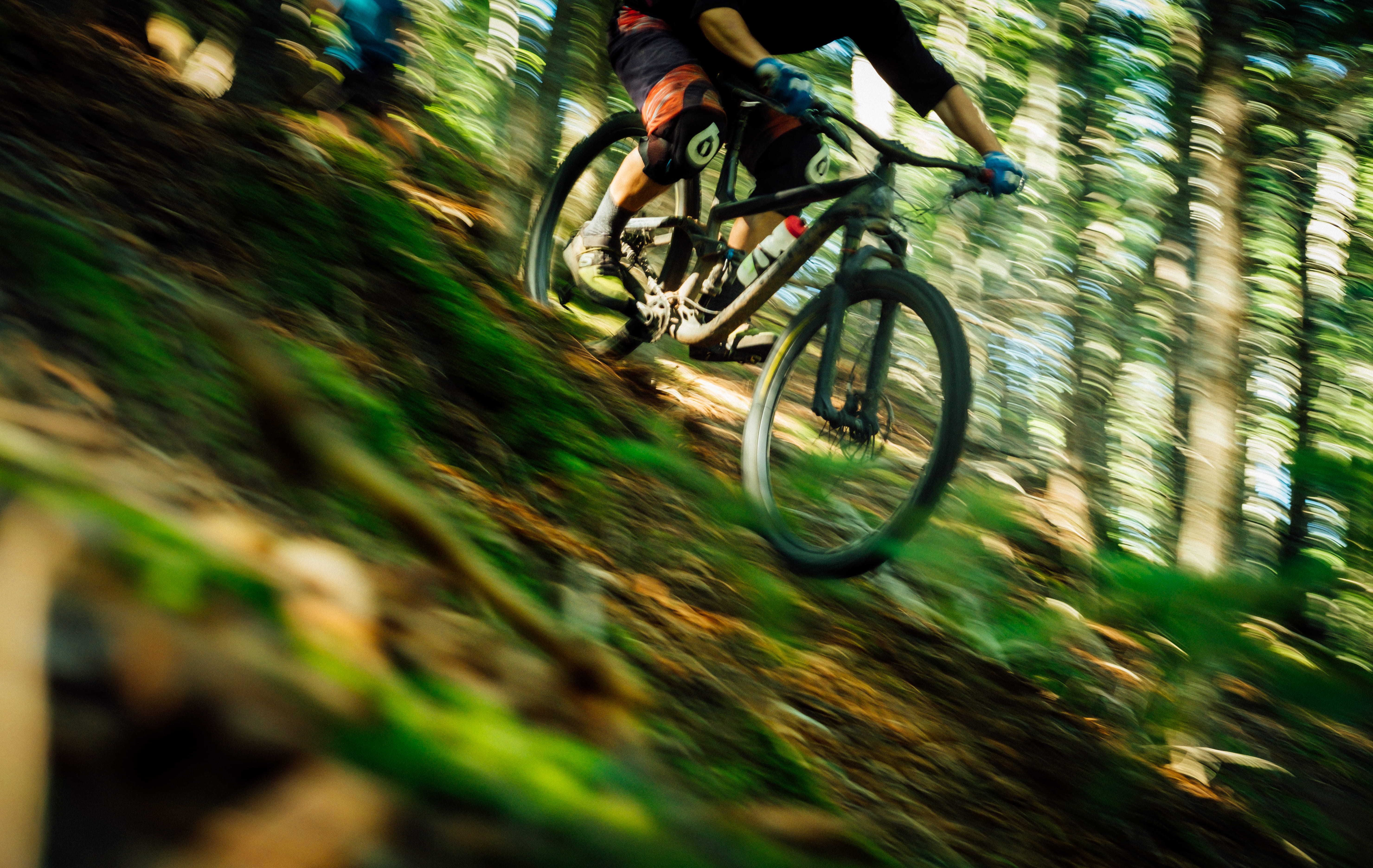 daytime, green, person, cyclist, non-Urban Scene, sports Training, bike, cycling, trees, bicycle, competition, outdoors, sunlight, sports Race, leisure Activity, HD Wallpaper