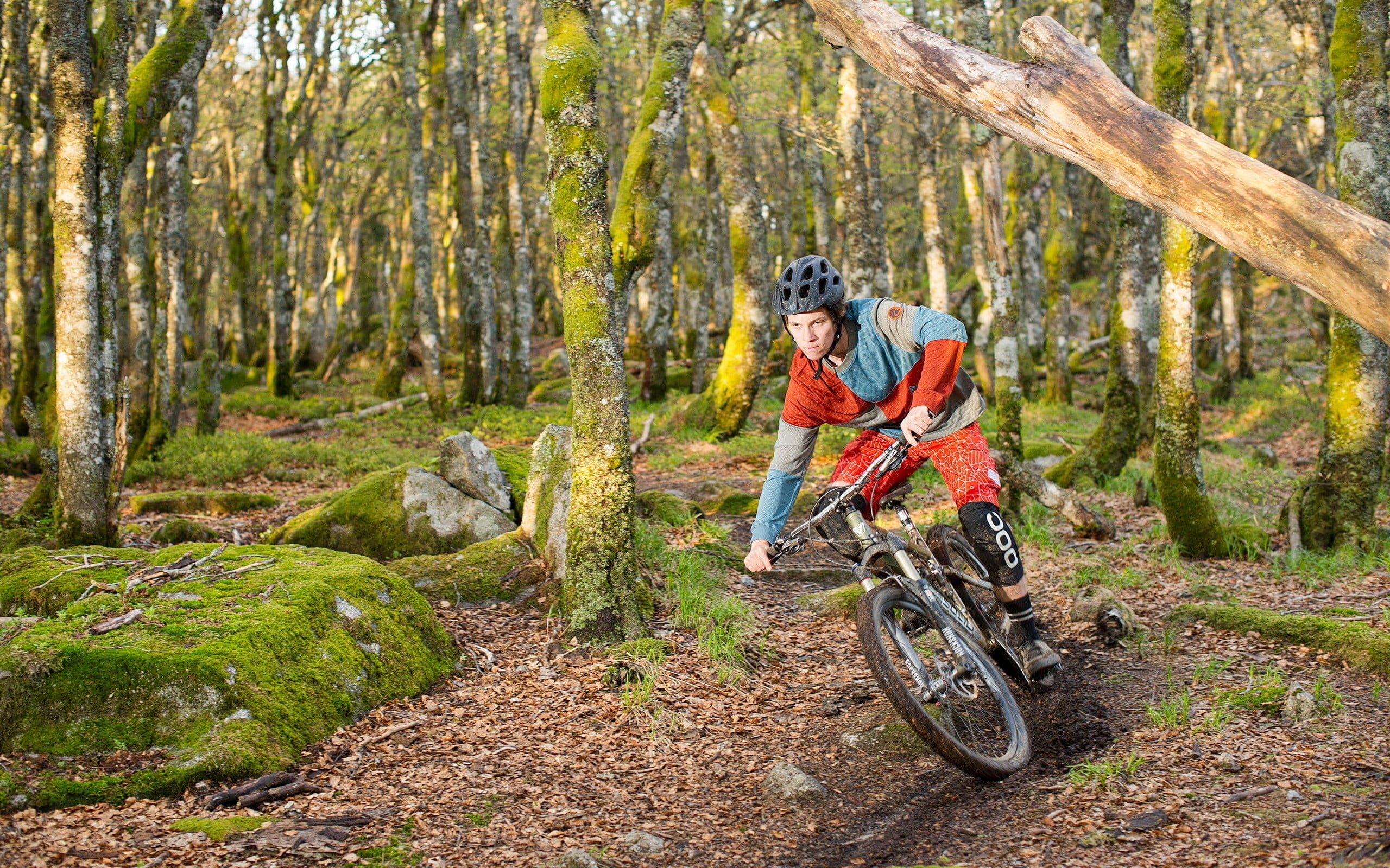 adventure, adult, mountain bike, outdoors, leisure activity, nature, woodland, lifestyles, black, mountain bikes, mature men, day, transportation, mountain, HD Wallpaper