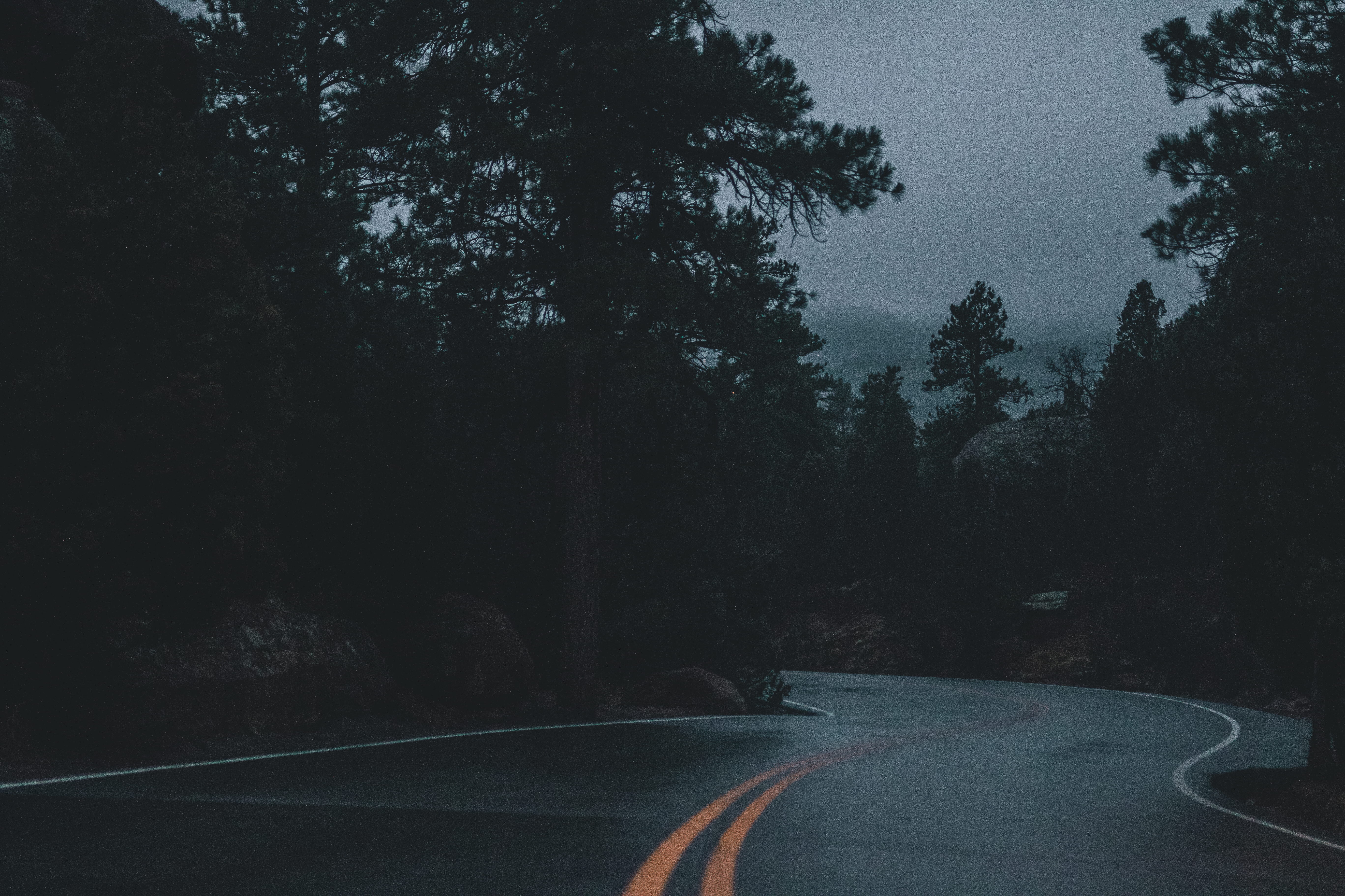 trees, street, nature, gray, road marking, travel, mountain, road, drive, outdoors, line, concrete, night, symbol, dark, curve, marking, transportation, HD Wallpaper