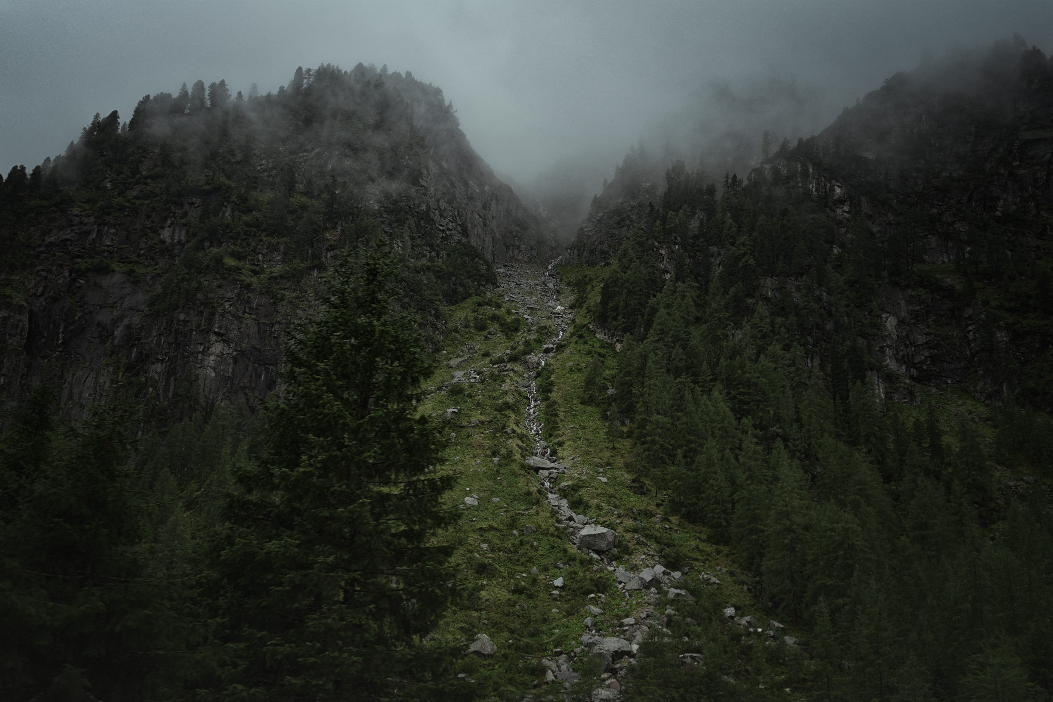 trail, hazy, trees, landscape, foggy, non-urban scene, environment, fog, nature, tranquility, mountains, tree, grass, sky, no people, beauty in nature, HD Wallpaper