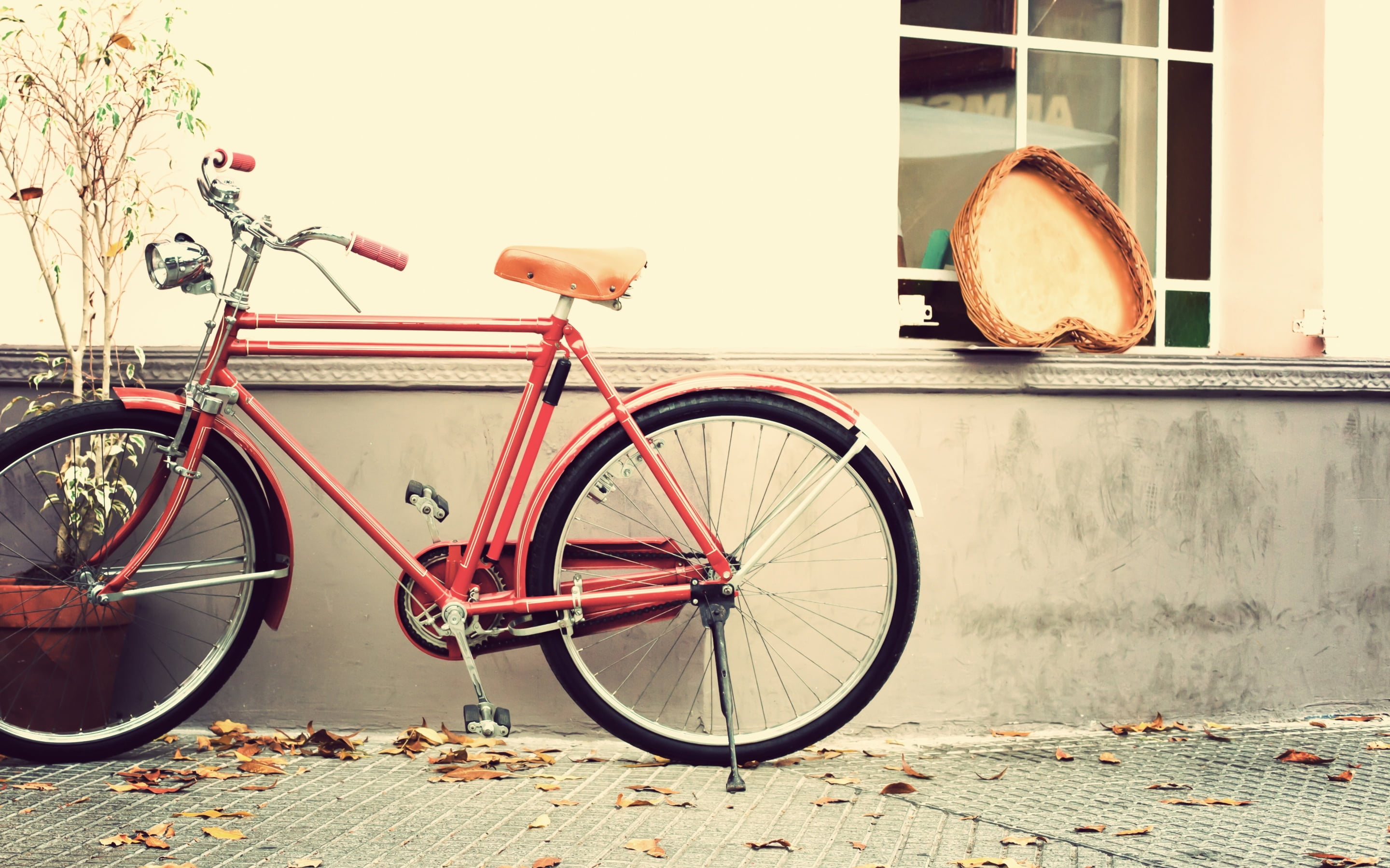 2K, stationary, mode of transportation, leaf, land vehicle, bicycle, heart, romantic, plant part, city, architecture, transportation, vintage, no people, HD Wallpaper