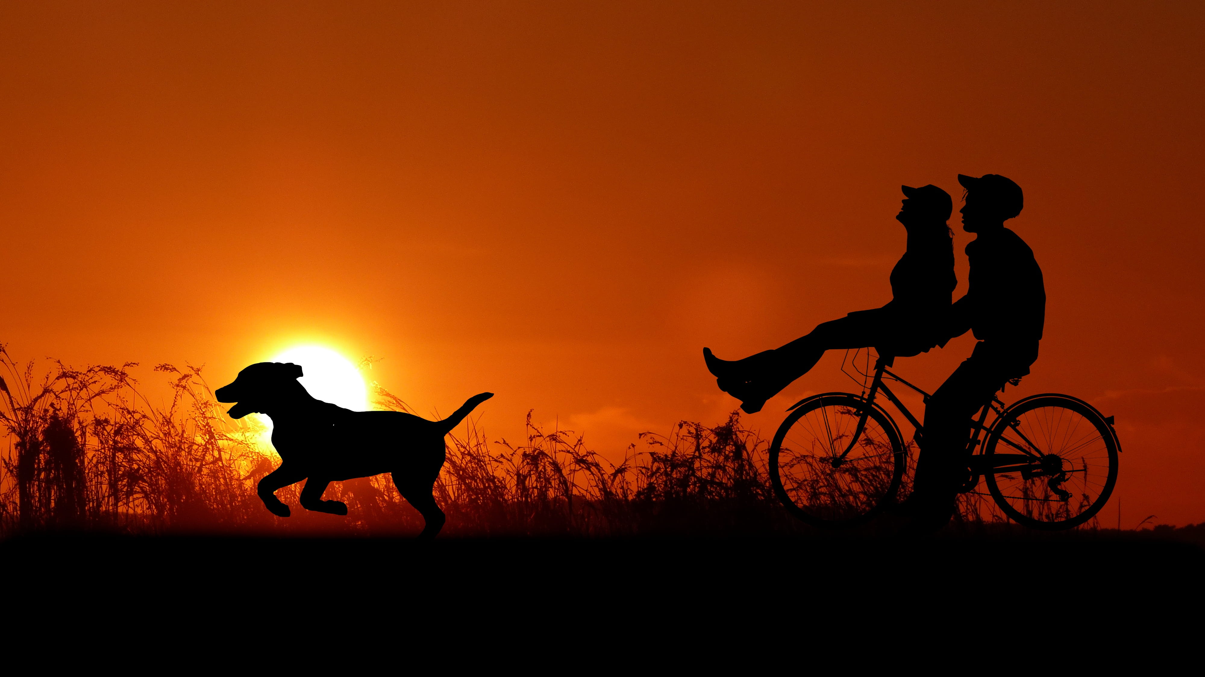 men, people, love, relationship, sunset, silhouette, mammal, set, couple, ride, real people, sky, summer, nature, domestic, orange color, bike, transportation, HD Wallpaper