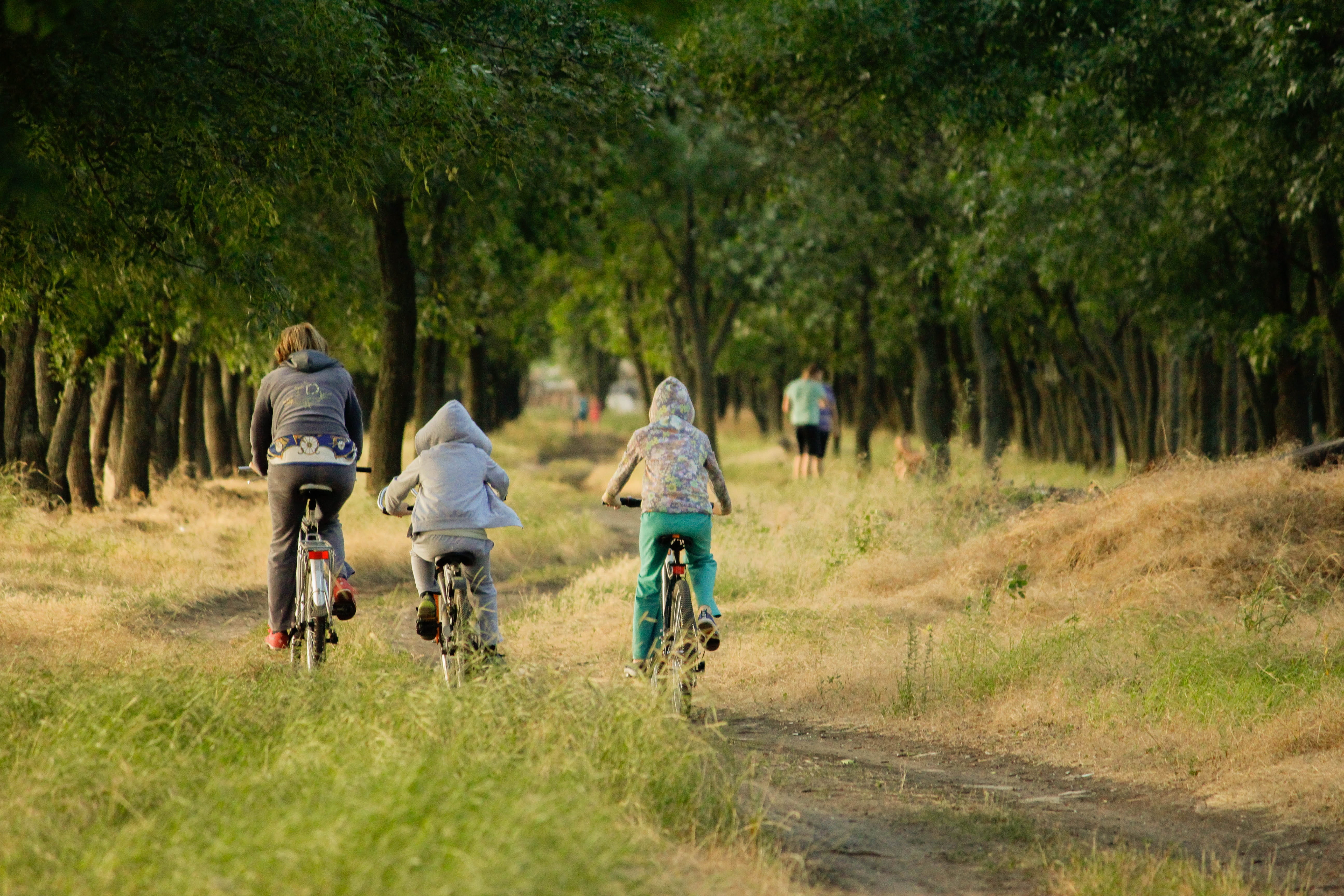family, bicycle, sport, plant, ride, love, harmony, well-being, persons, people, nature, bike, grass, vacation, three, real people, rear view, day, family vacation, HD Wallpaper
