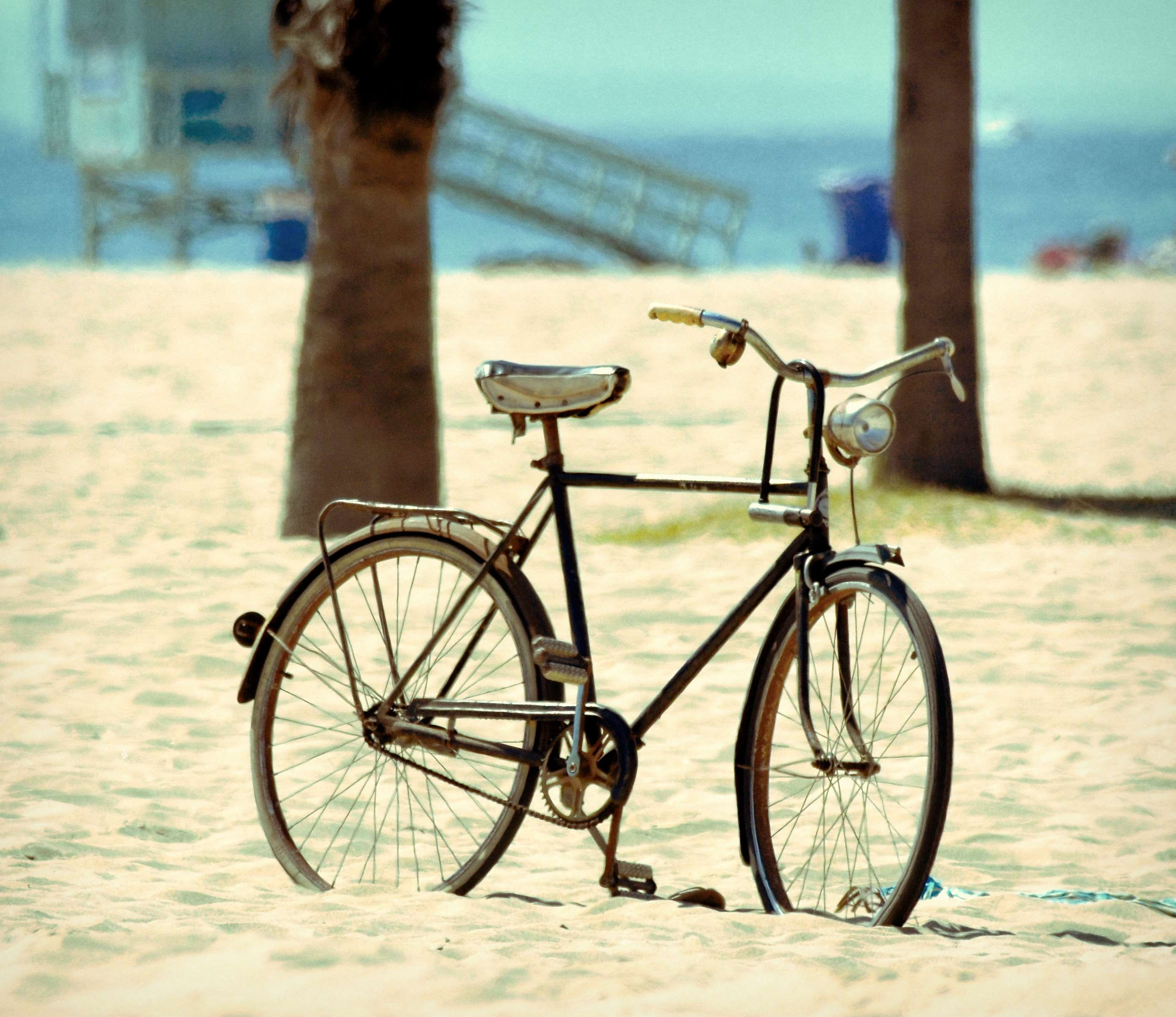 mode of transportation, travel, transportation, summer, venice beach, 2K, no people, love, seat, city, water, wheel, nature photography, day, sunlight, HD Wallpaper