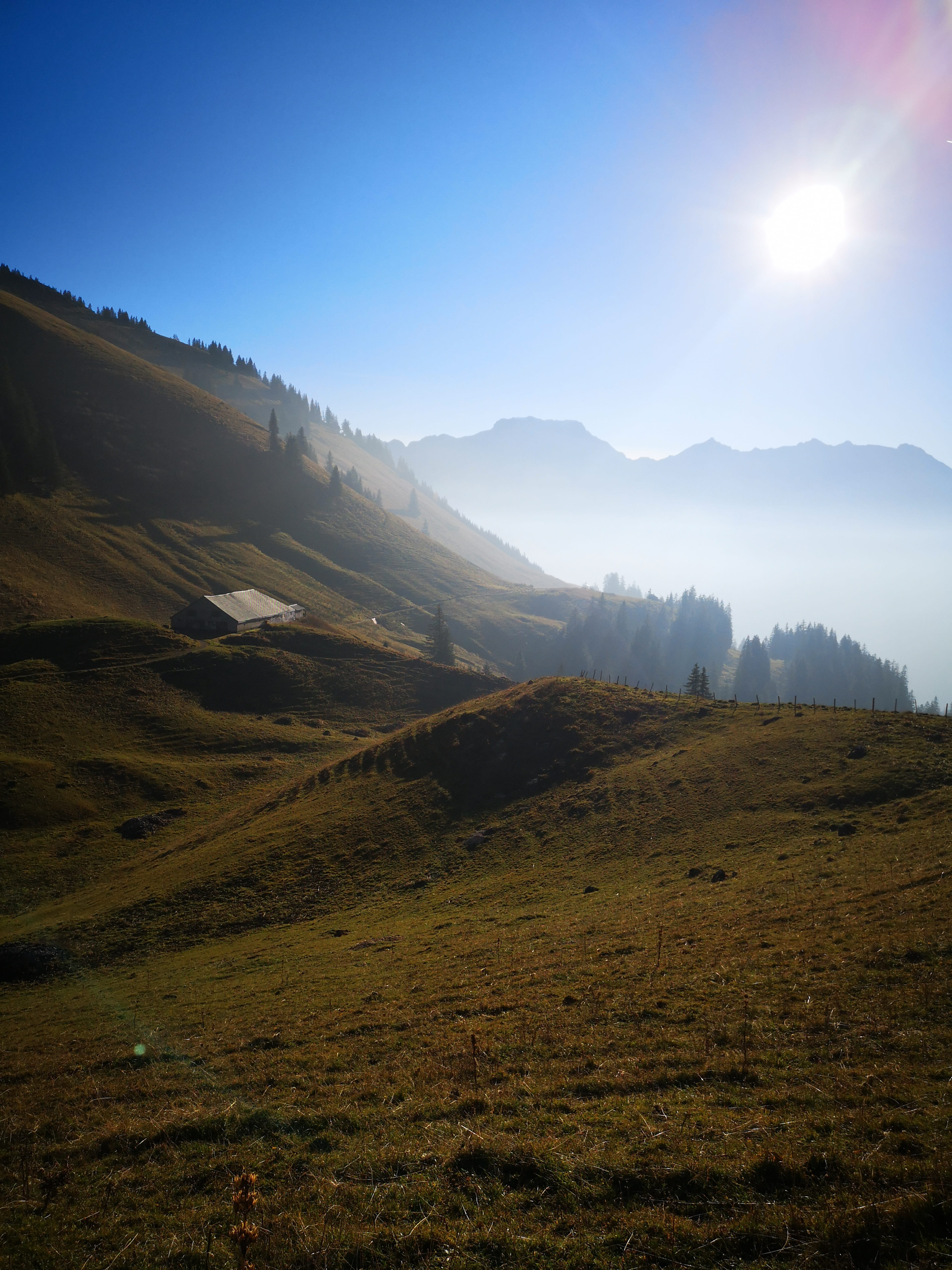 sunlight, sky, lens flare, environment, bright, tranquility, love, live, idyllic, beauty in nature, 5K, day, landscape, sun, mountain, non-urban scene, Phone HD Wallpaper
