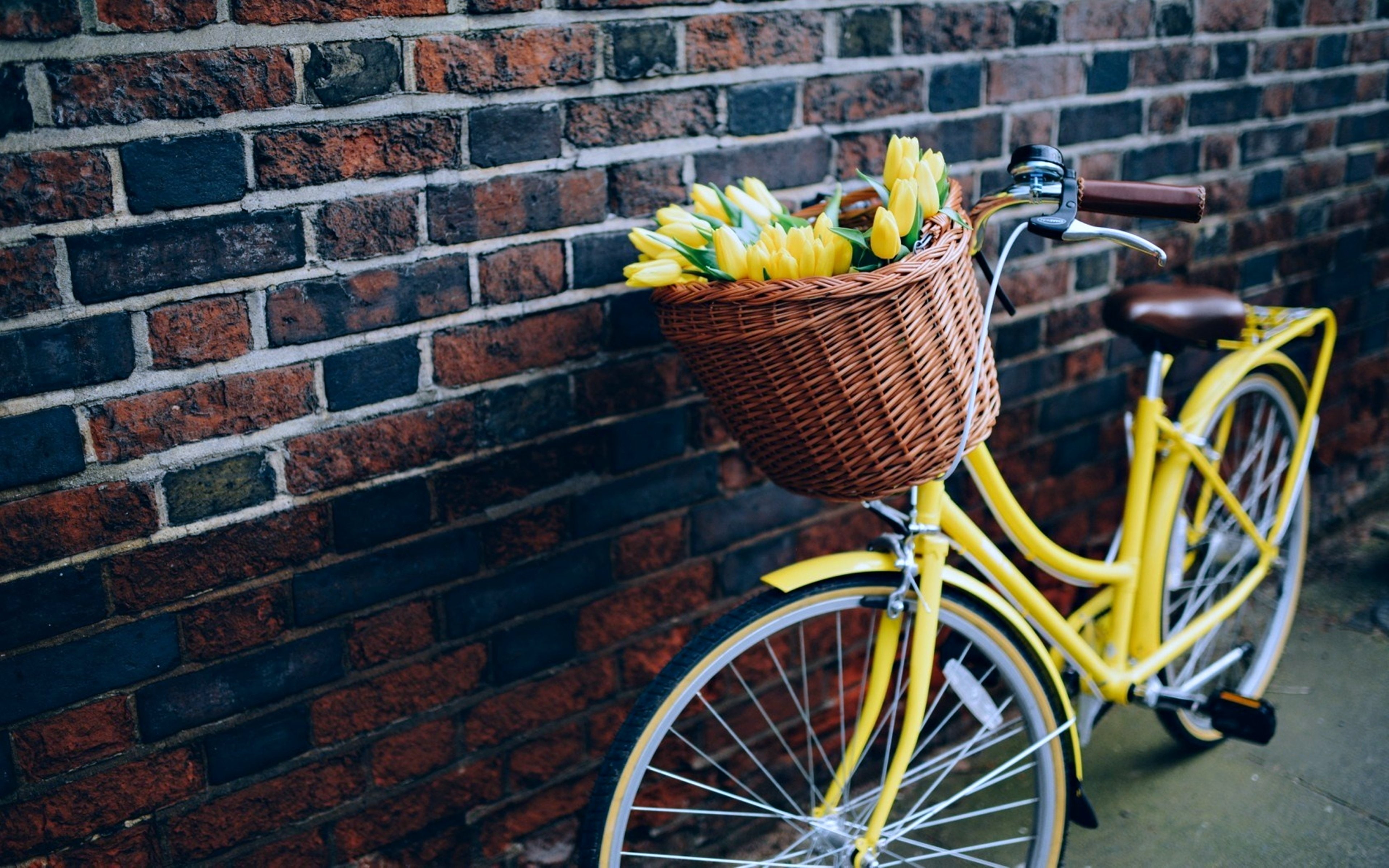 bike, bicycle, life, flowers, love, 4K, yellow, wall, HD Wallpaper