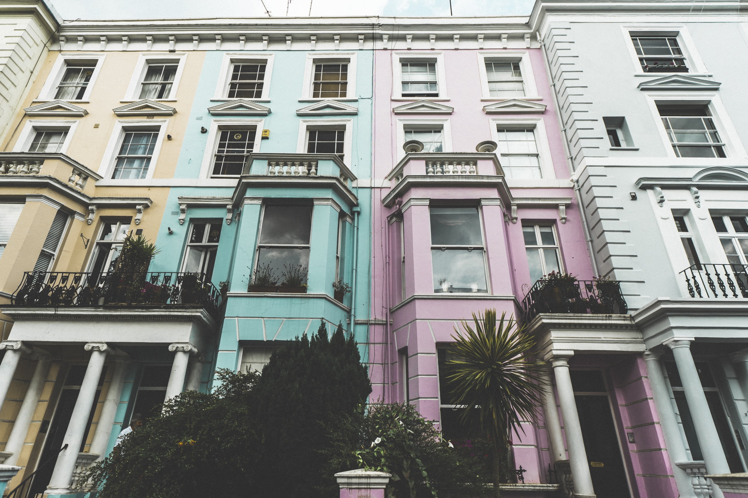 urban, yellow, city life, facade, architecture, no people, built structure, colours, pink, tropical climate, outdoors, teal, low angle view, white, plant, HD Wallpaper
