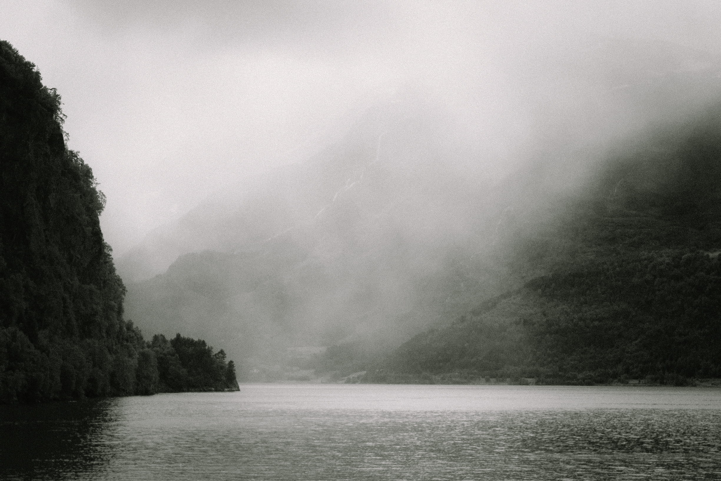 plant, idyllic, tranquility, forest, rainy, rain, beauty in nature, fog, outdoors, norvège, non-urban scene, norway, fjord, mountain, waterfront, black and white, HD Wallpaper