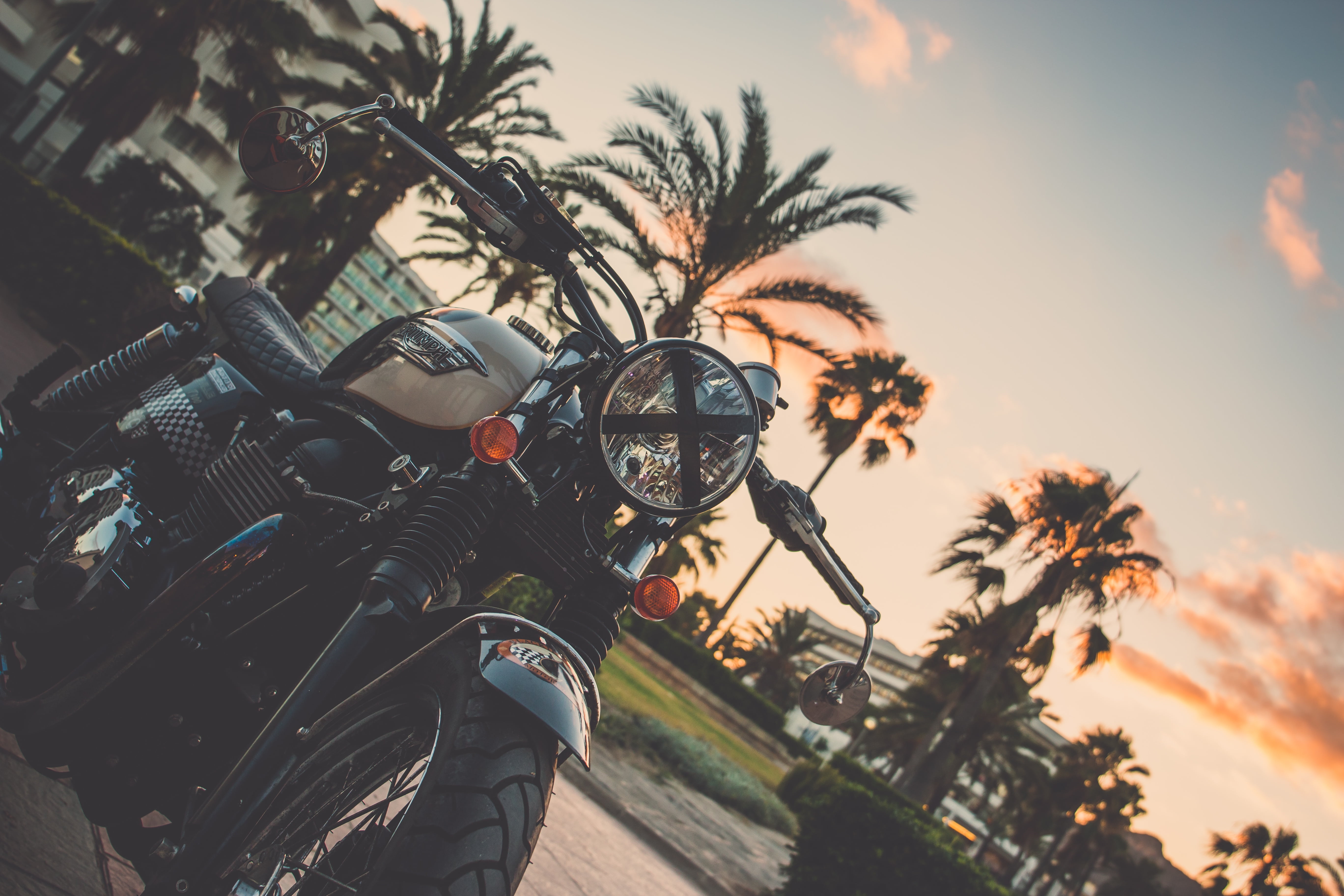 close-up, men, street, outdoors, white, tree, riding, architecture, nature, driving, motorcycle Racing, 5K, leaf, growth, cruiser, tropical climate, land Vehicle, HD Wallpaper