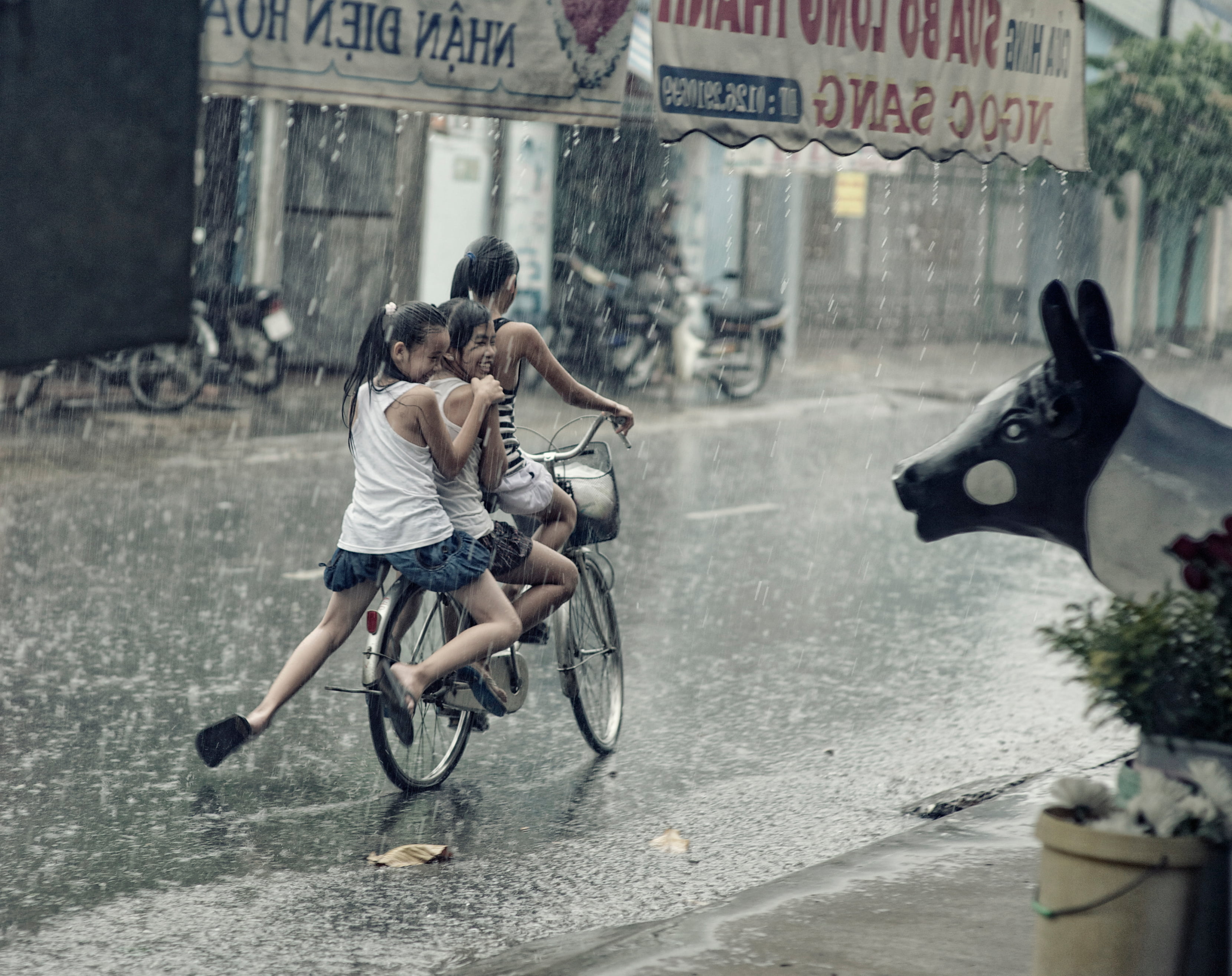 men, lifestyles, city, transportation, girls, women, full length, real people, plants, architecture, rainy, focus on foreground, day, season, two people, HD Wallpaper