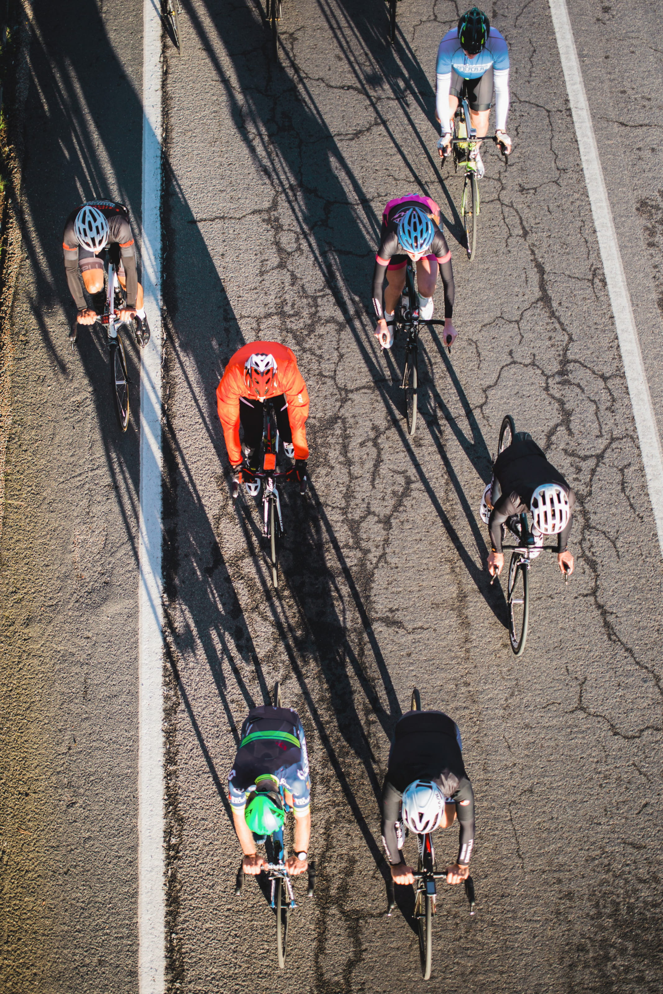 Event, day, exercise, Outdoors, 2K, Bicycling, fitness, women, domestic animals, sports race, pets, Race, biking, extreme, lifestyles, street, real people, Phone HD Wallpaper