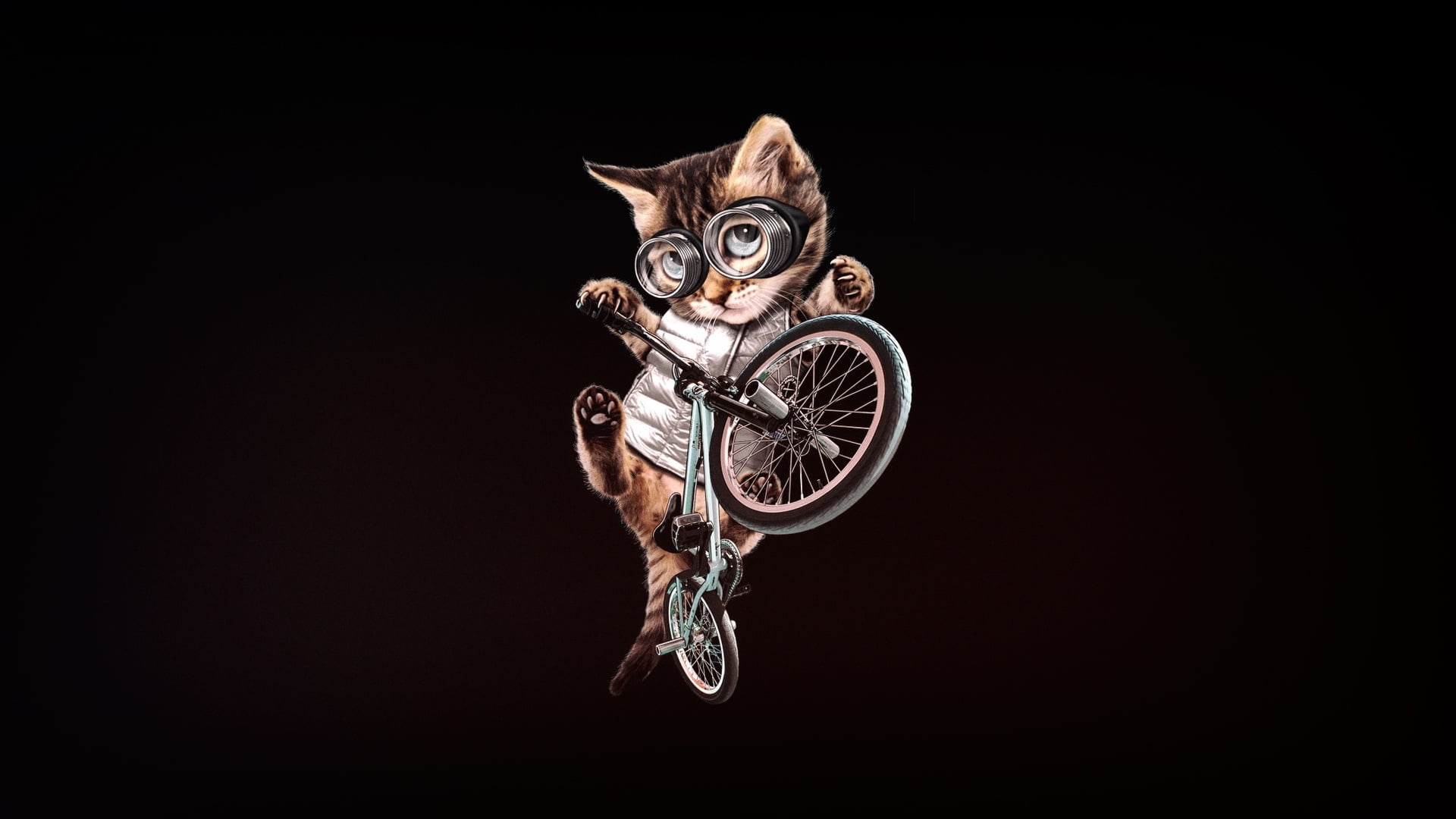 Minimalism, Art, Cat, BMX, Style, Kitten, 1080P, Glasses, Bike, Kitty, HD Wallpaper