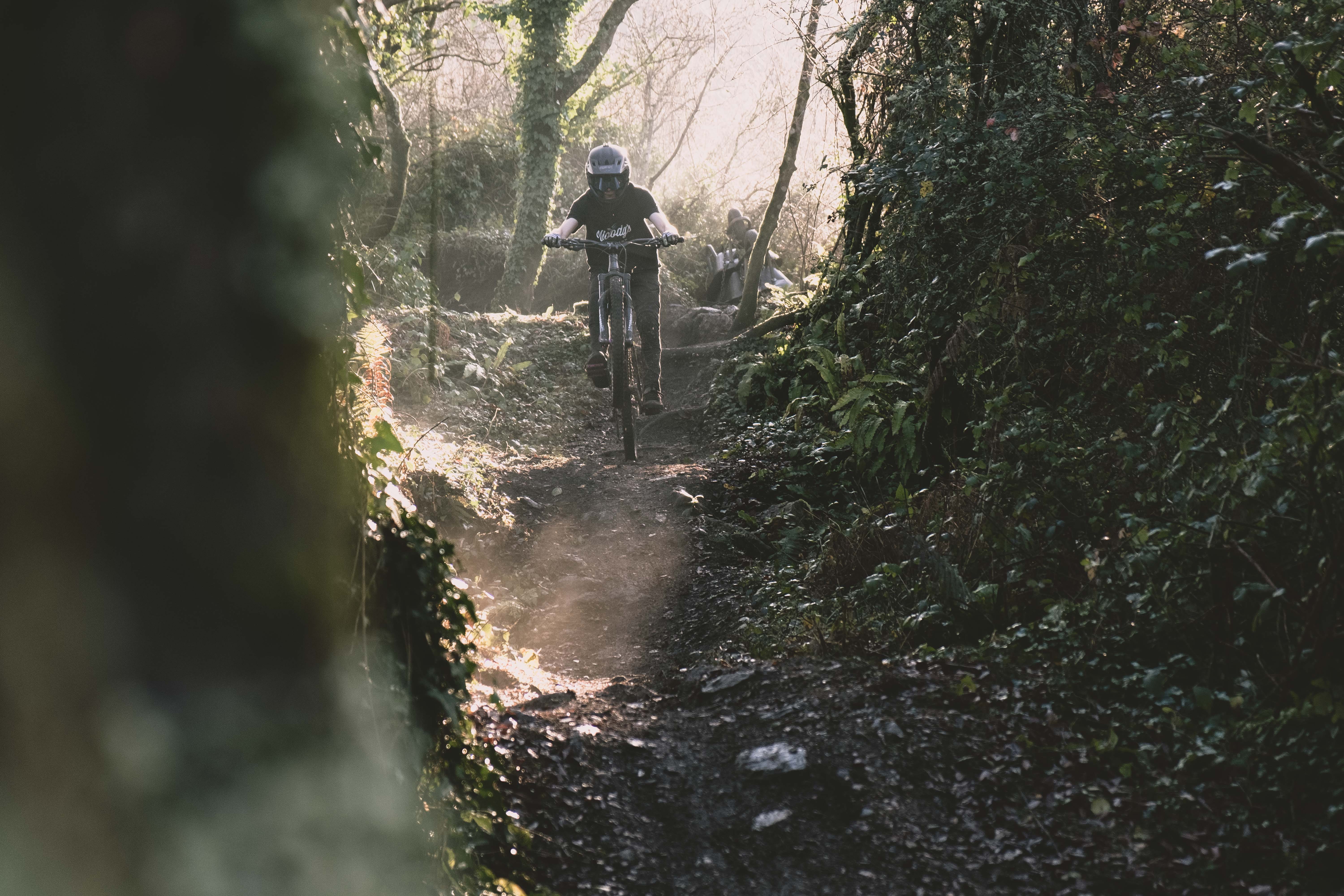 standing, Mountain bike, Sun rays, forest, men, tree, one person, real people, plant, sunlight, full length, rear view, helmet, leisure activity, land, HD Wallpaper