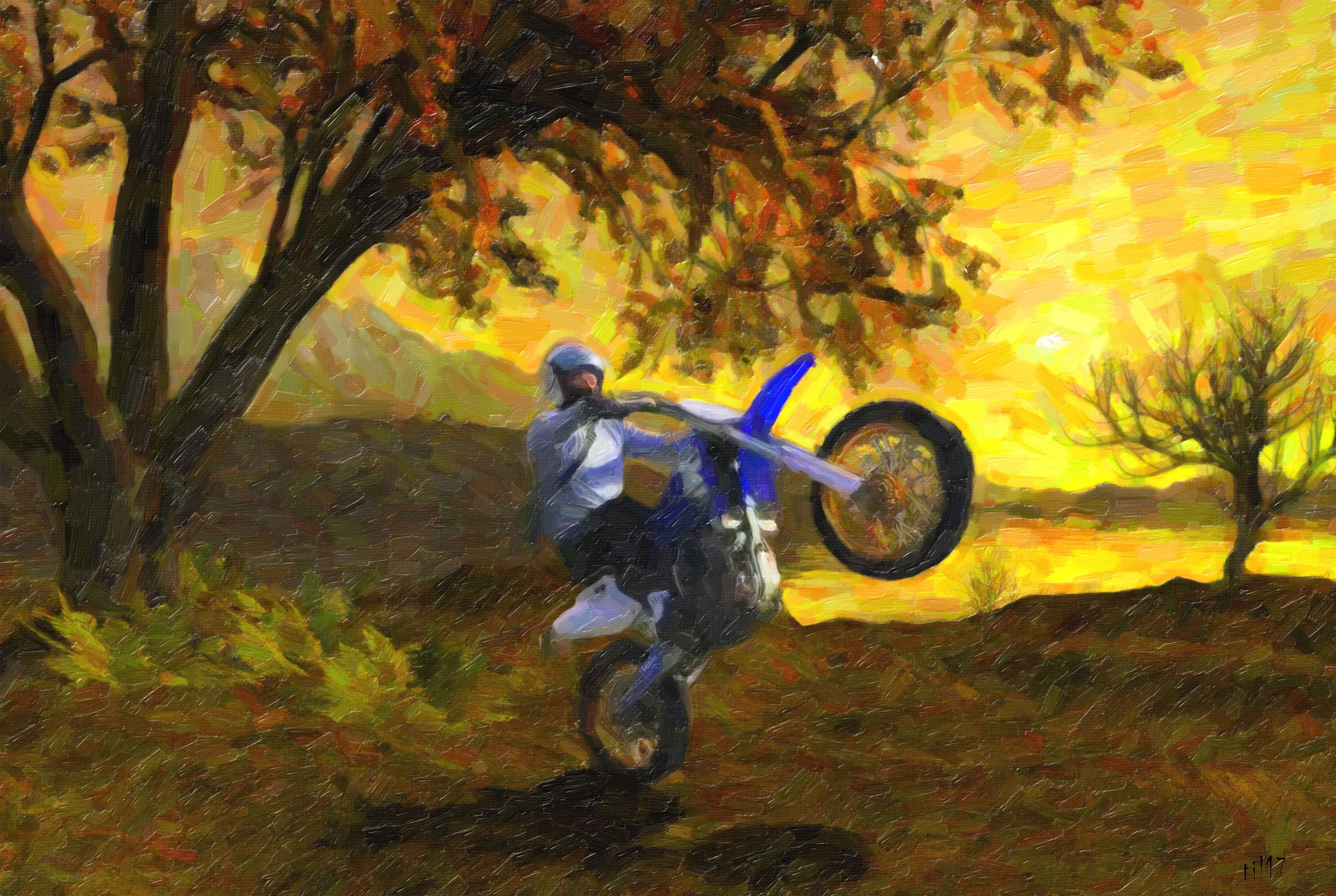 4K, painting, wheelie, forest, leisure activity, bike, plant, change, motorcycle, water, men, standing, art by til, beauty in nature, art, tree, day, full length, HD Wallpaper