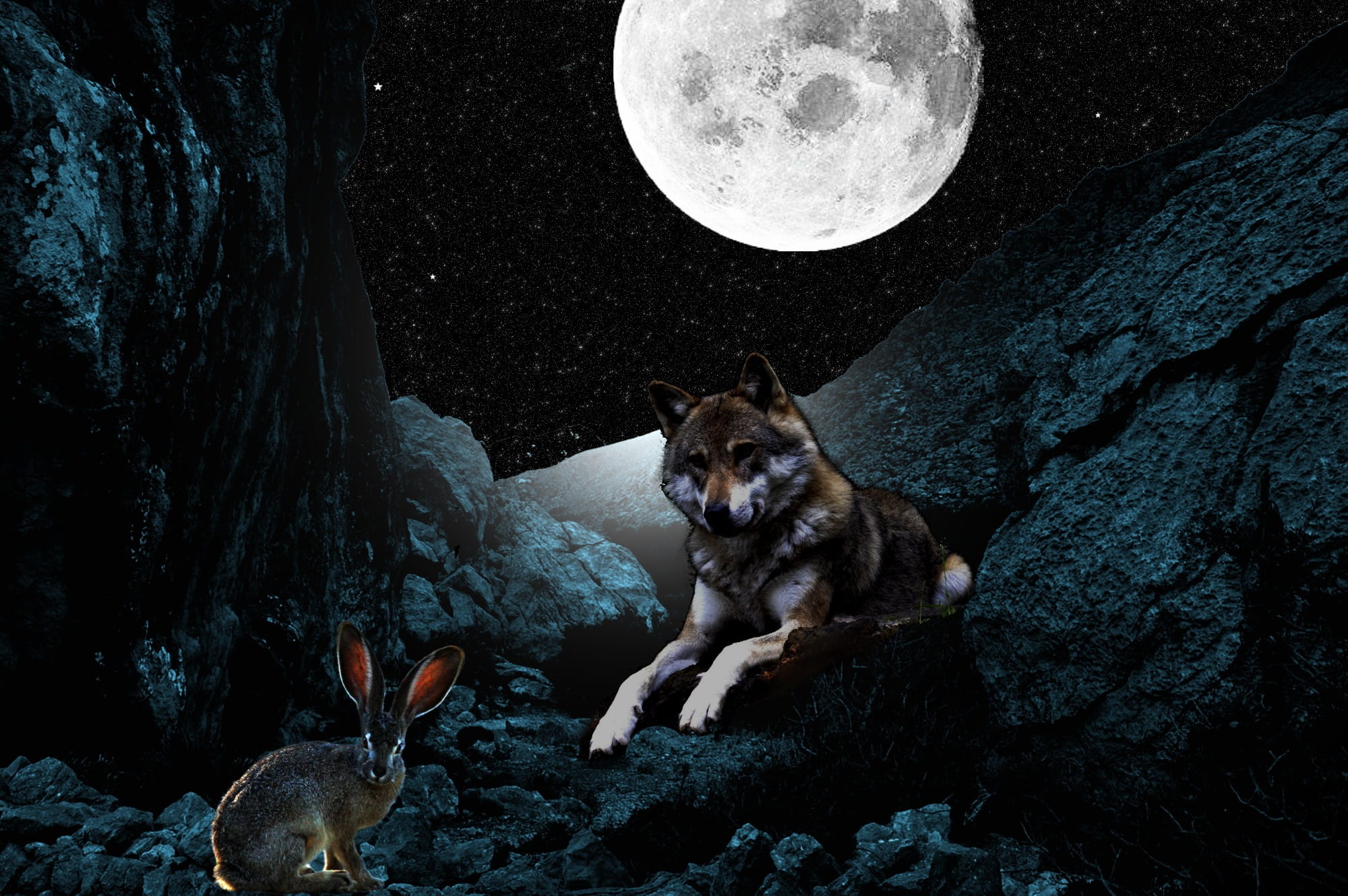 1080P, Night, space, rock, star - space, domestic, beside, wolf, brown, moon, rock - object, vertebrate, spooky, Fantasy, looking, one animal, horror, HD Wallpaper