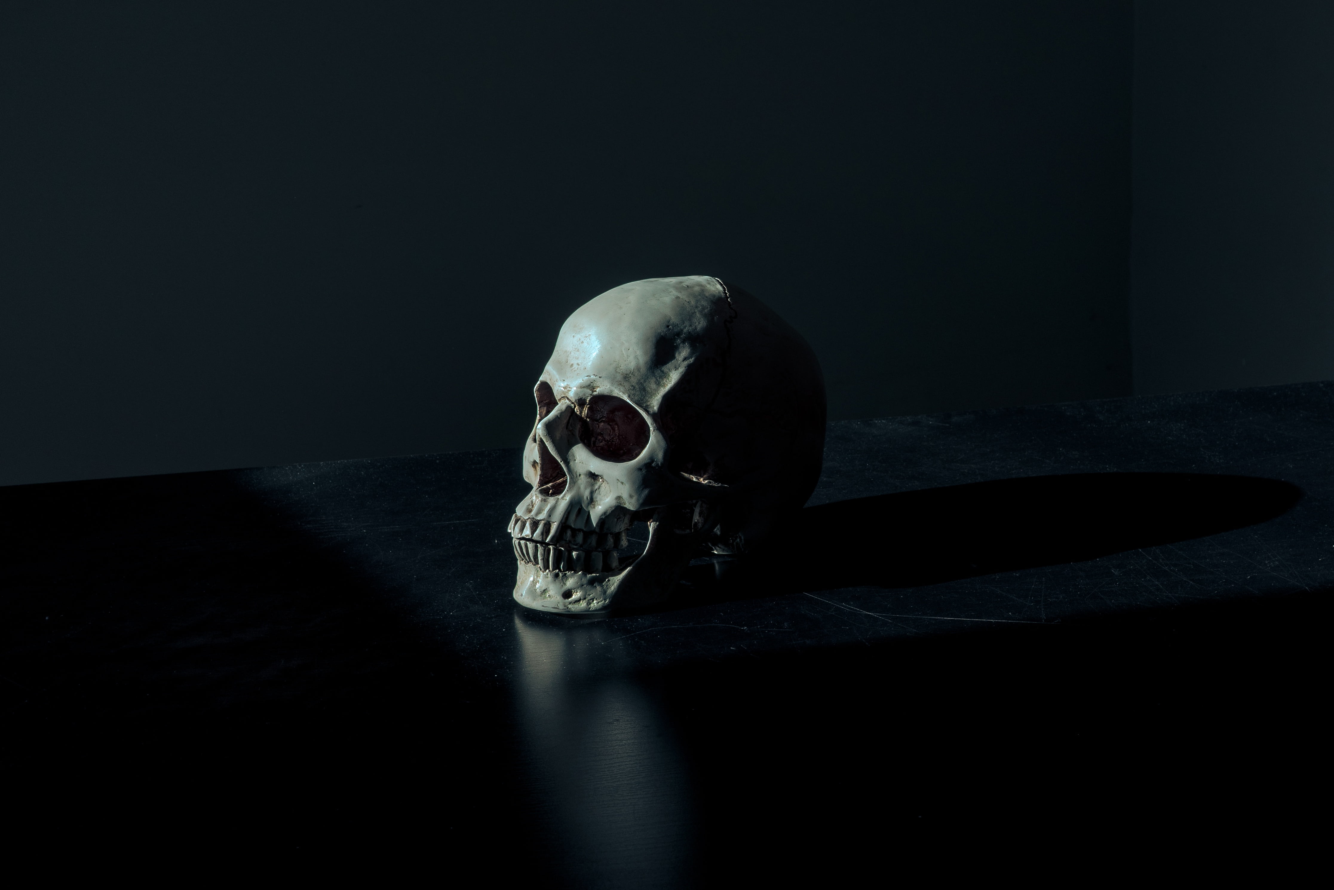 evil, 4K, human body part, human skeleton, scary, eerie, one animal, skull, black background, human, fear, gray, horror, halloween, dark, bone, skeleton, HD Wallpaper