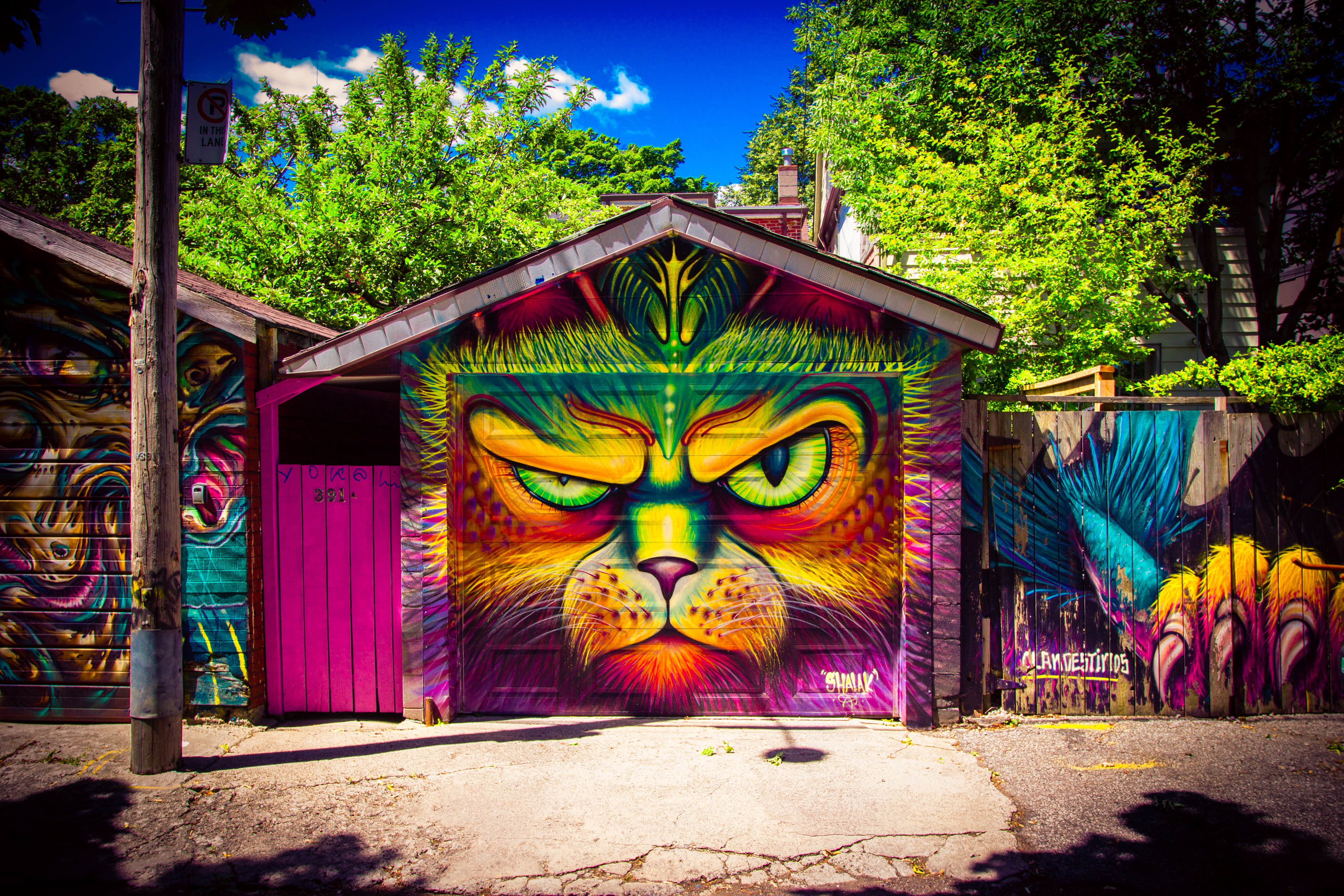 sculpture, mural, day, vibrant colour, badass, nature, multi colored, sky, human representation, purple, no people, blue, architecture, 4K, green, animal, HD Wallpaper