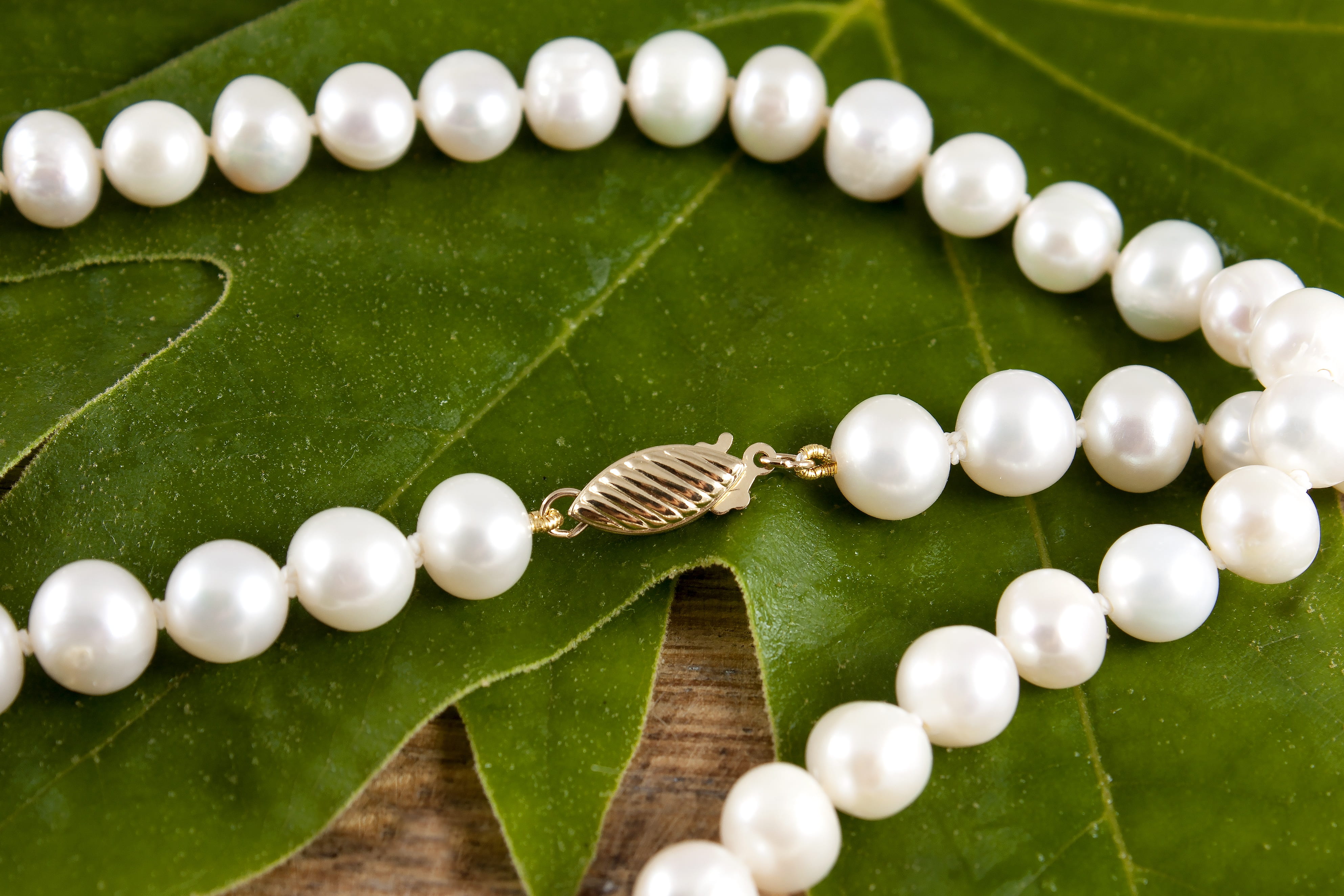 freshness, selective focus, pearl jewelry, close-up, 4K, plant part, chaplet, reflection, nature, jewelry, white color, wet, beauty in nature, leaf, plant, HD Wallpaper