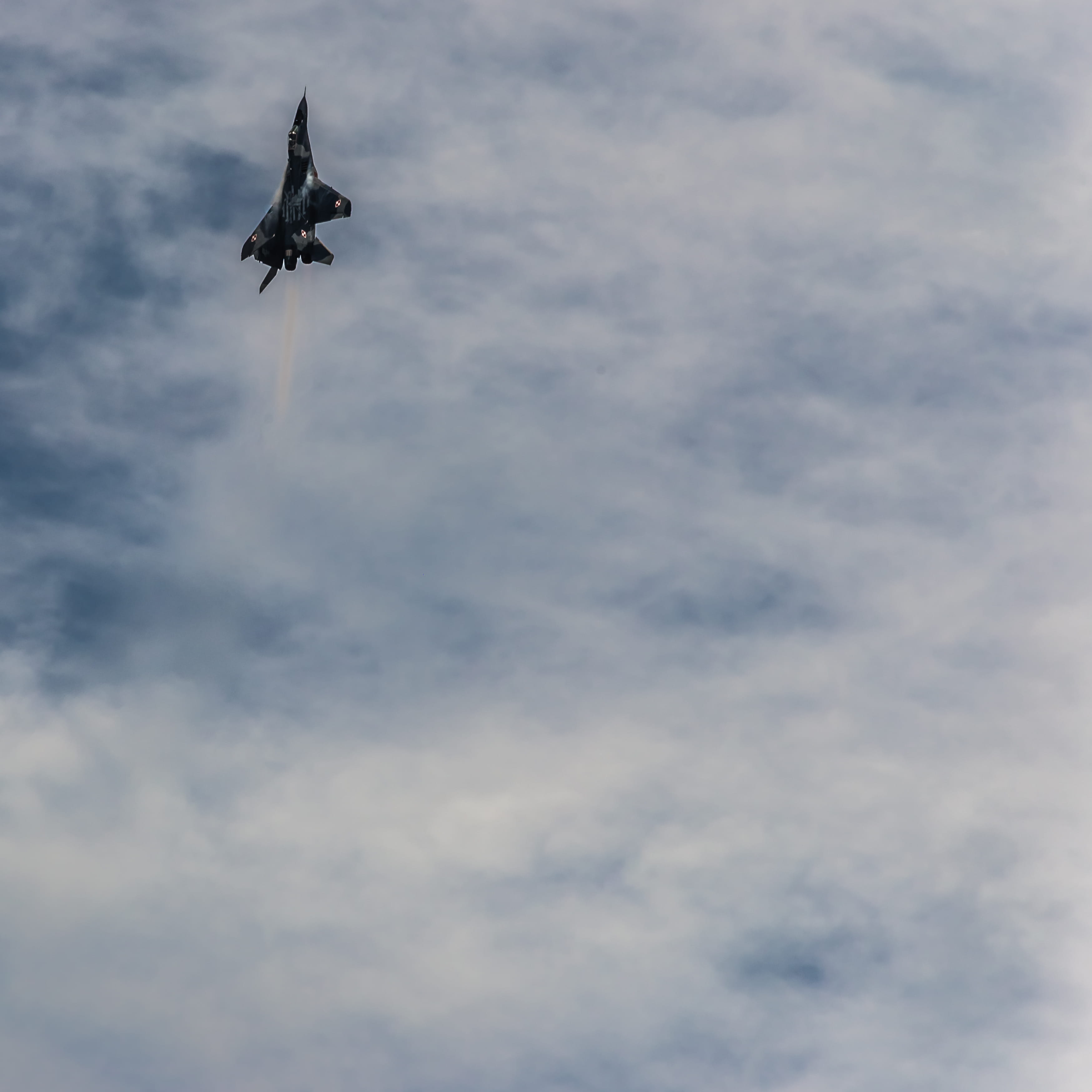 animals in the wild, nature, one animal, fairford, sky, 2K, mid-air, united kingdom, air vehicle, fulcrum, no people, aircraft, airshow, low angle view, Phone HD Wallpaper