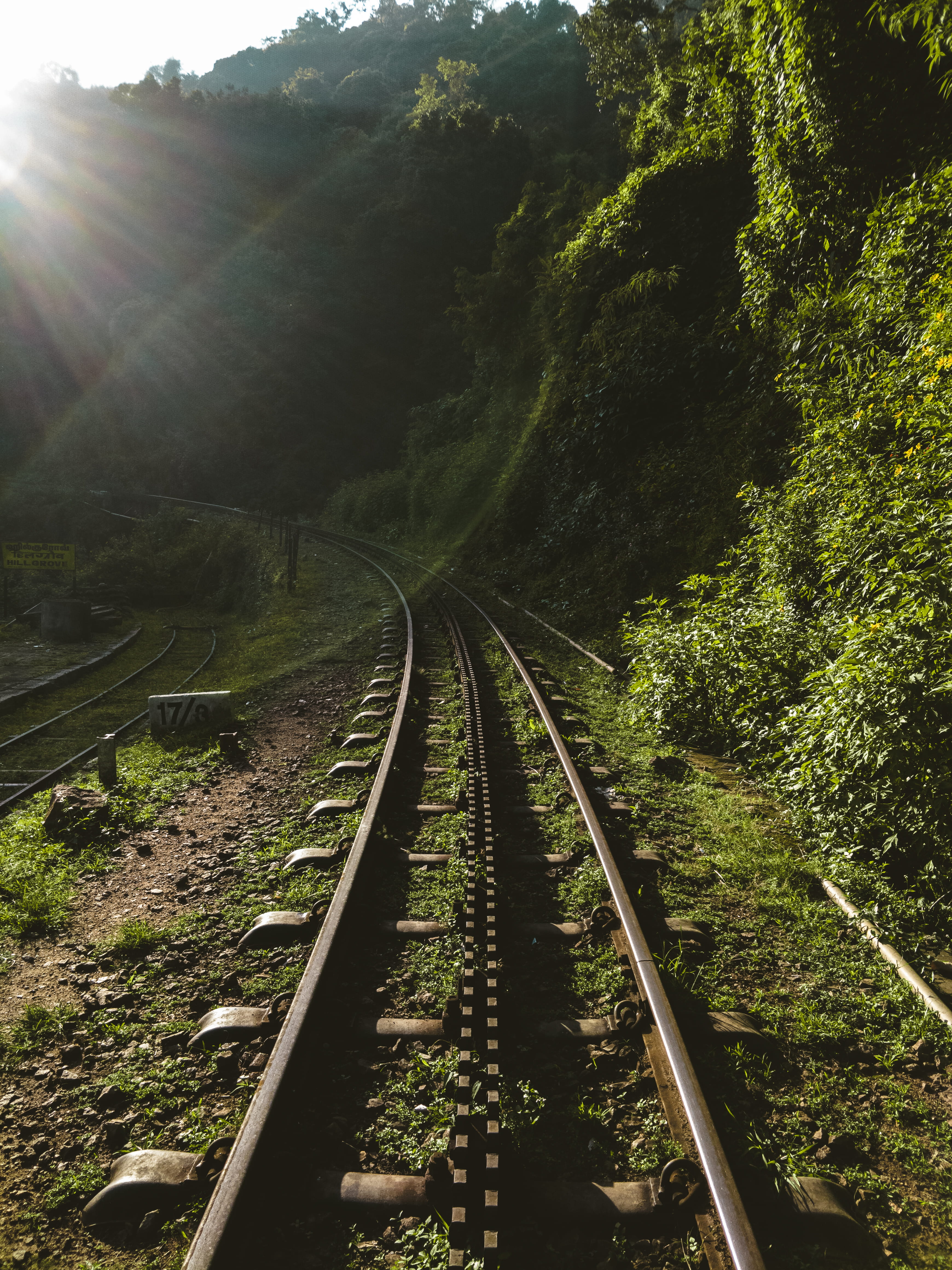 tracks, slate, plant, growth, symmetry, outdoors, gravel, railway, bridge, beside, day, diminishing perspective, green, train, sky, dirt road, perspective, Phone HD Wallpaper