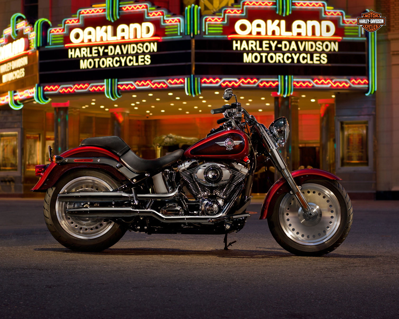 2013, boy, harley, fat, flstf, softail, 720P, davidson, HD Wallpaper