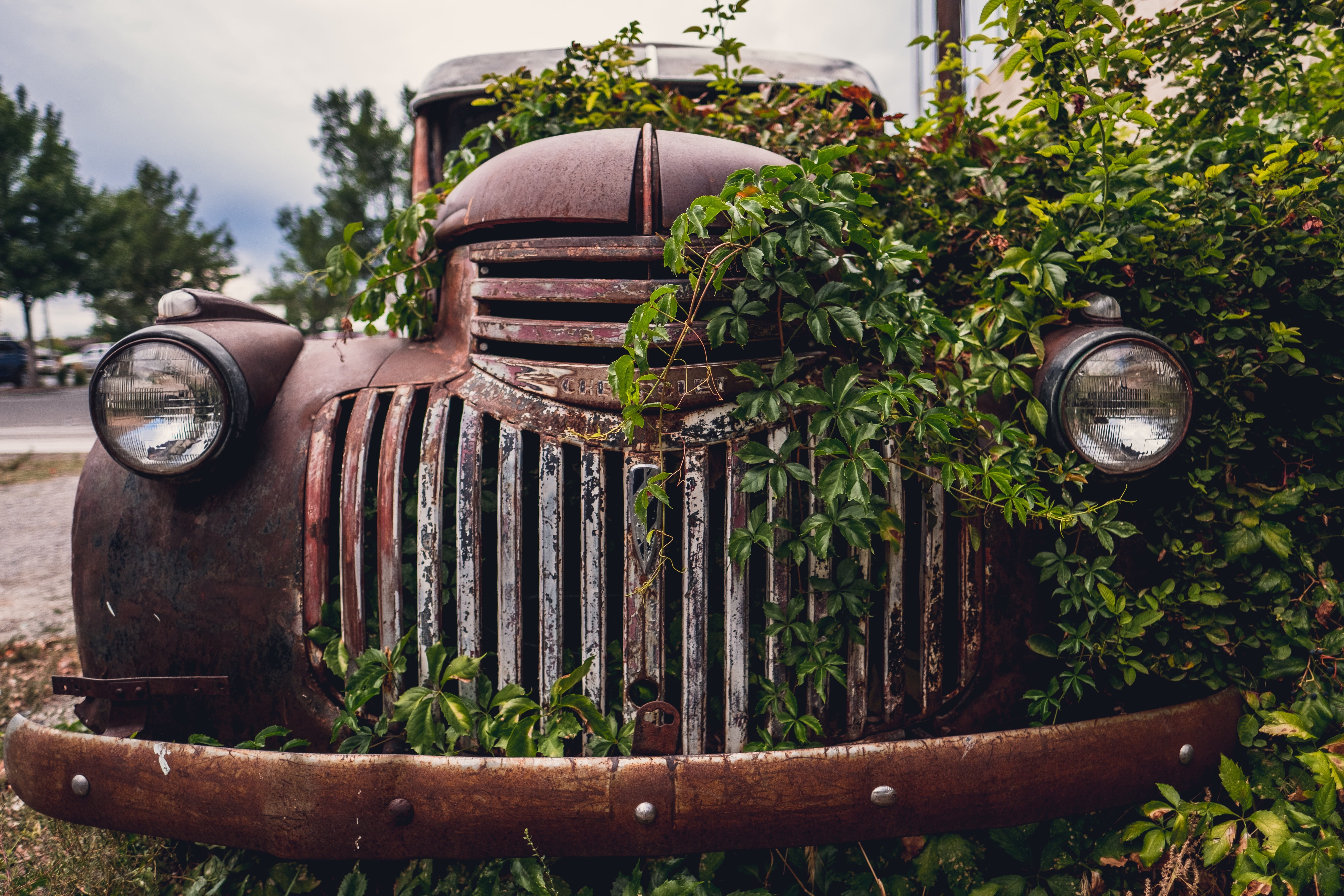 car, rusty, 5K, retro styled, old, wheel, growth, outdoors, ruined, abandoned, stel, mode of transportation, deterioration, green color, obsolete, tree, HD Wallpaper