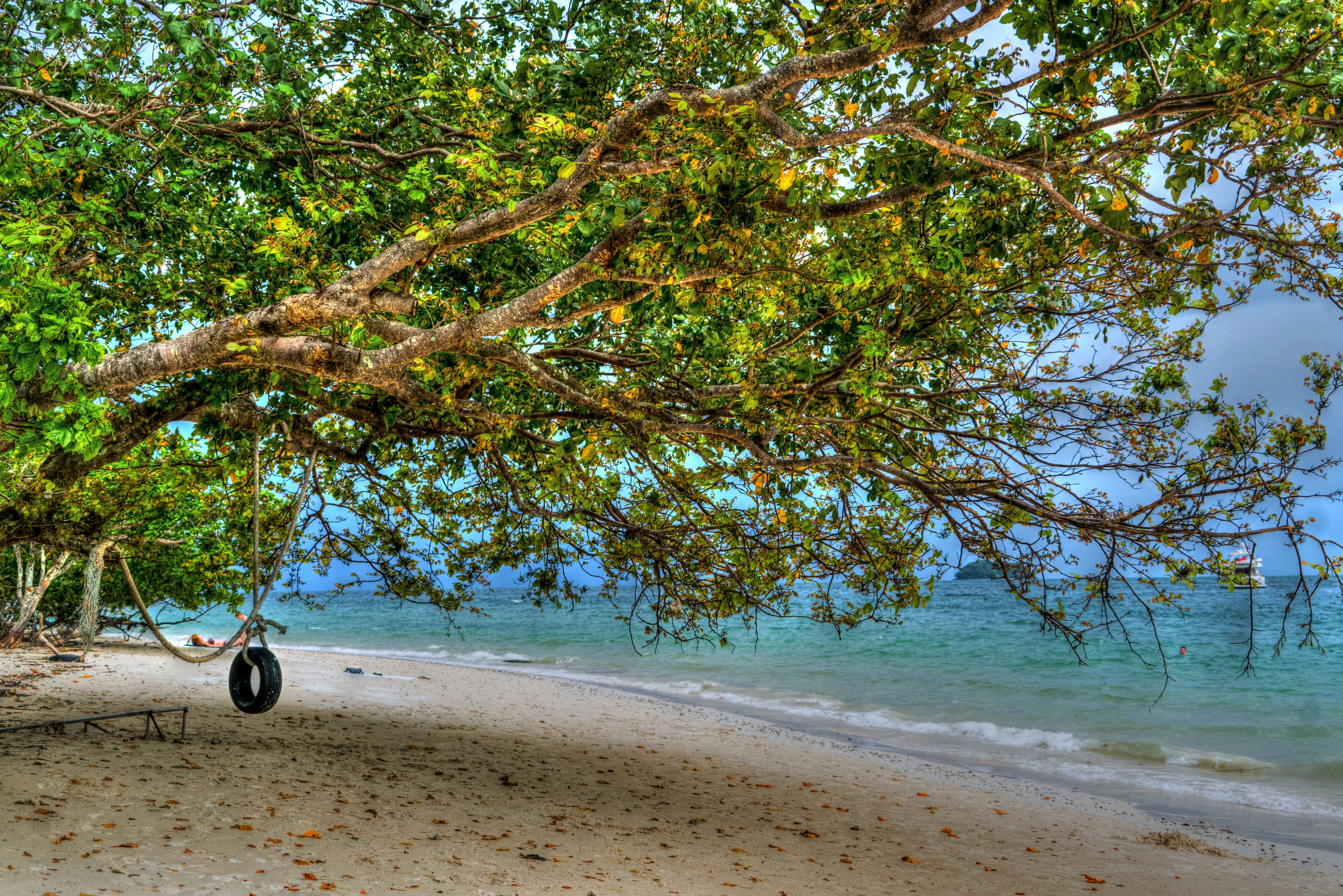 transportation, asia, palm trees, sky, landscape, water, growth, vacation, land, Phuket, scenics, beauty in nature, holiday, outdoors, summer, coastline, HD Wallpaper