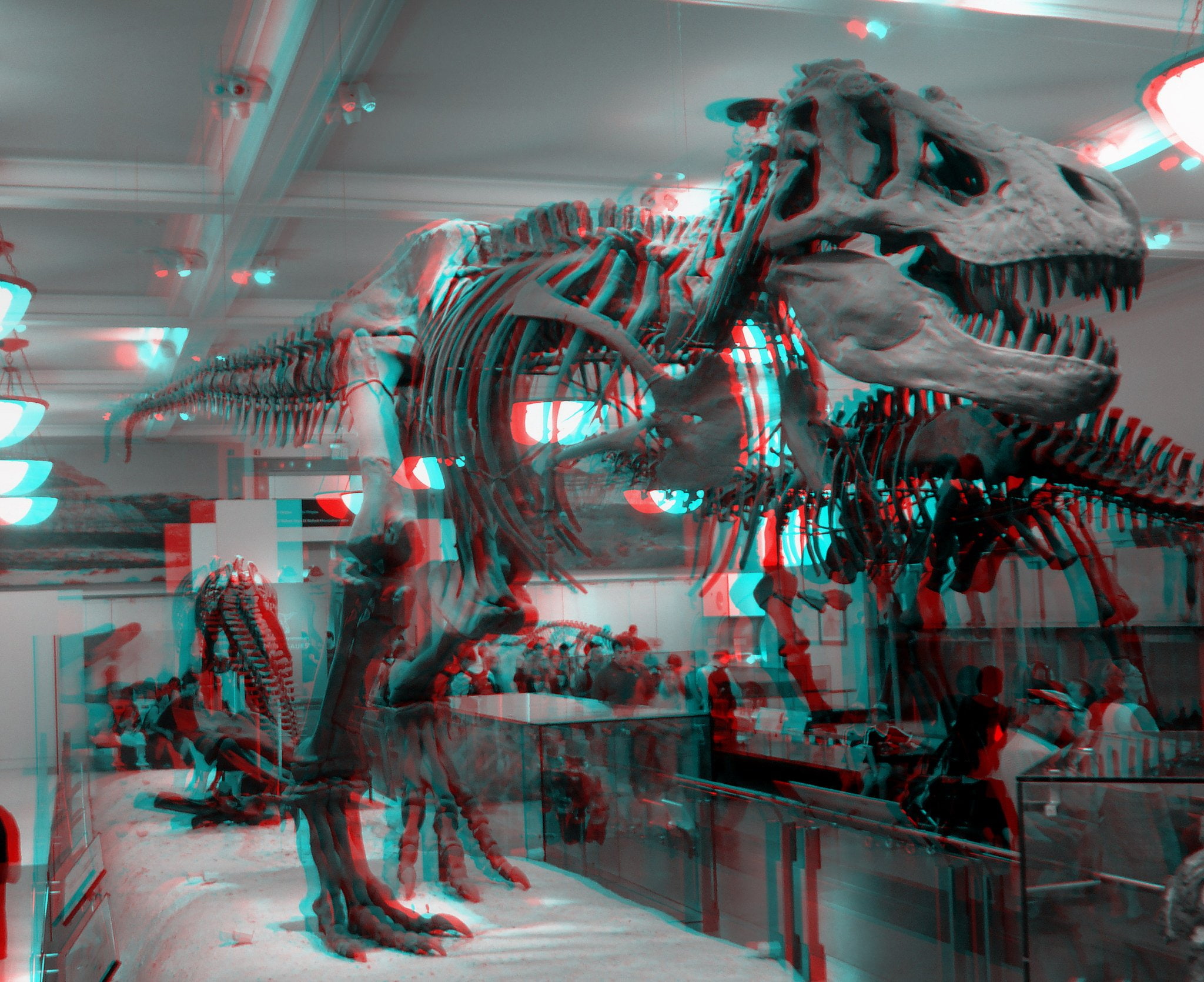 Anaglyph, 1080P, Glasses, 3d, HD Wallpaper