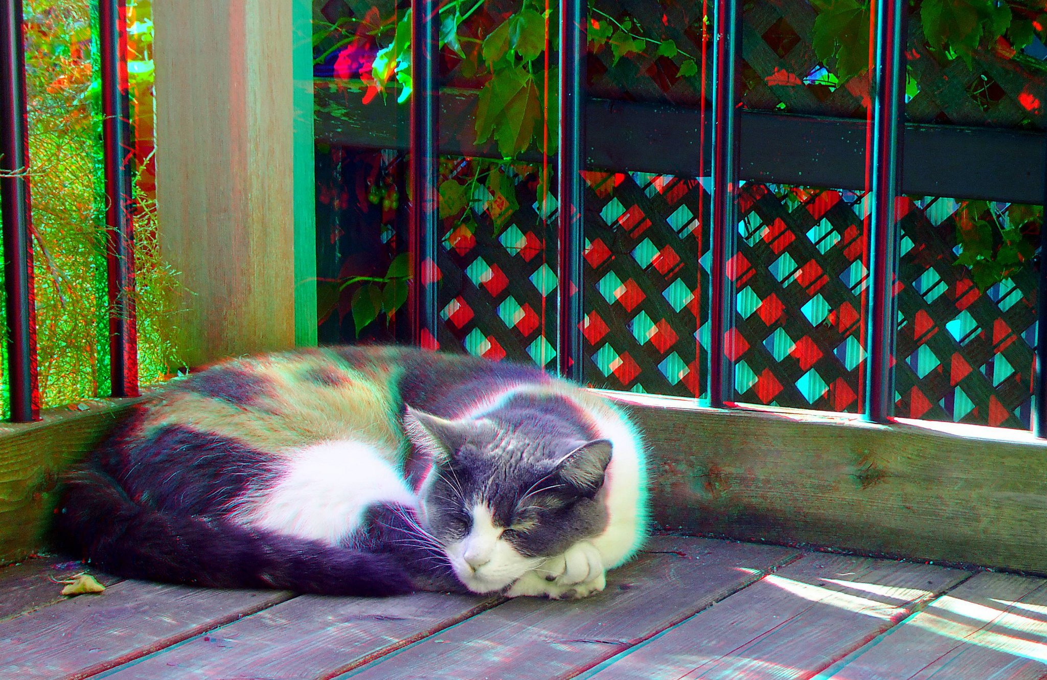 Glasses, 1080P, 3d, Anaglyph, HD Wallpaper