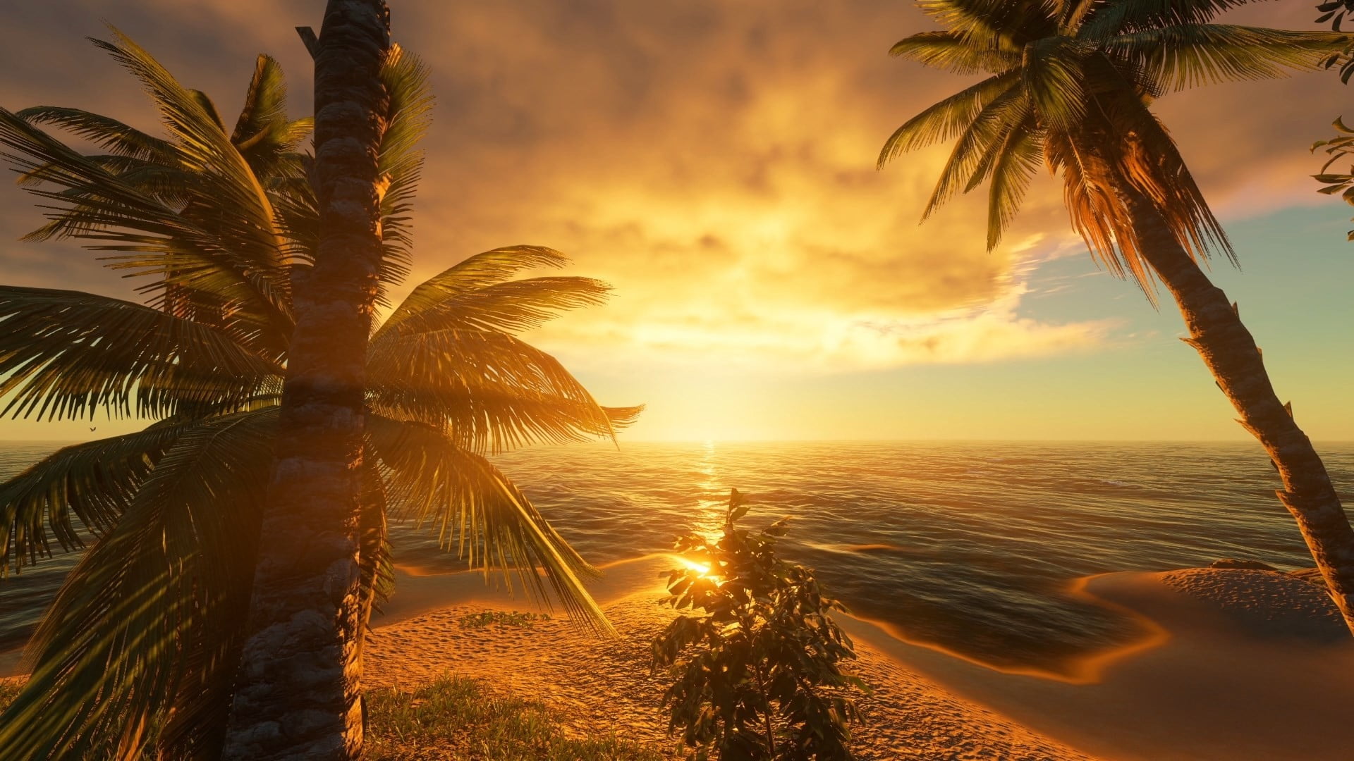 sunset, nature, tropical climate, cloud - sky, trees, outdoors, beauty in nature, water, sunlight, sun, tranquil scene, scenics - nature, tropical tree, HD Wallpaper