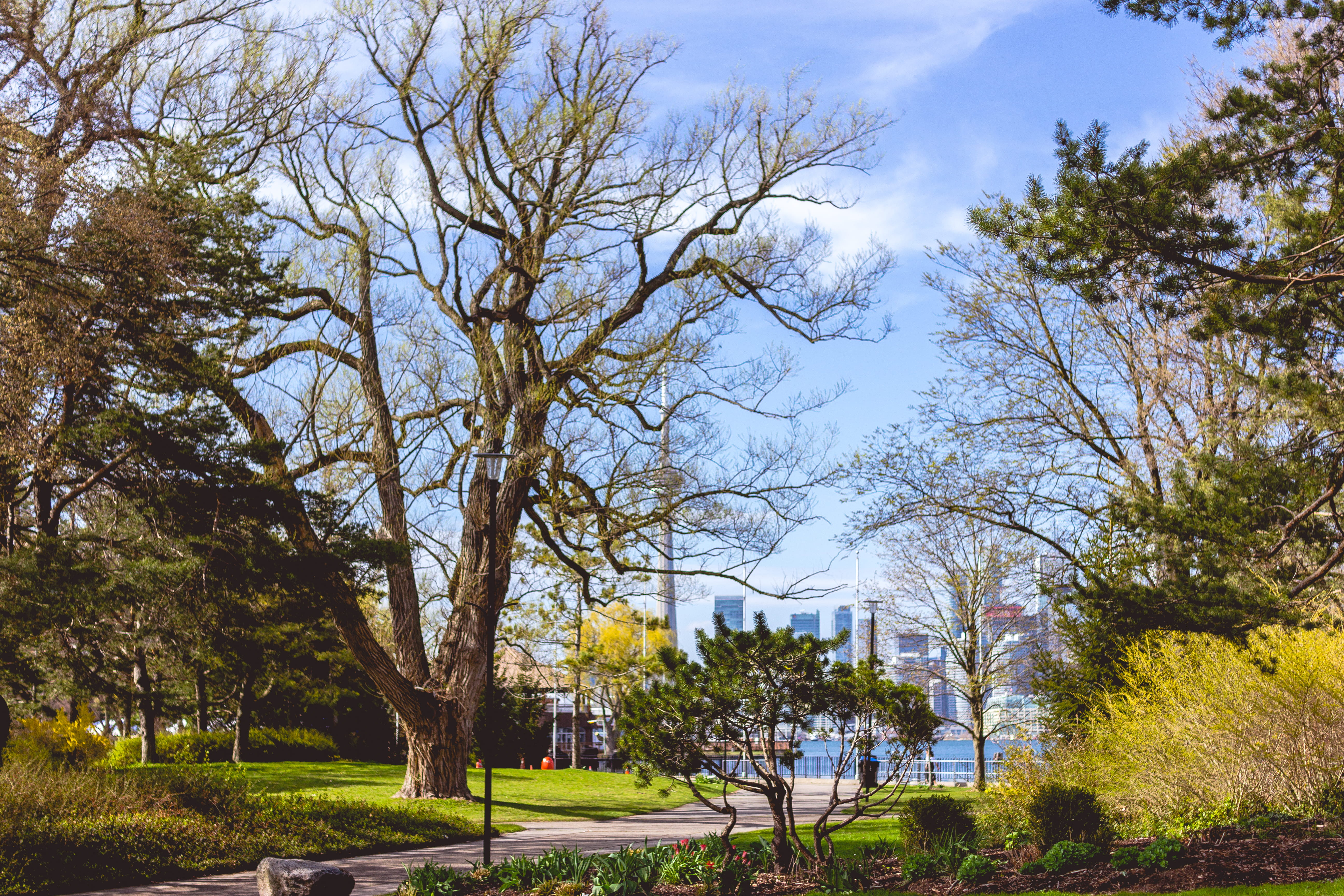 green color, shrubs, garden, toronto, skyline, 5K, cloud - sky, park - man made space, forest, cn tower, plants, lake, day, nature, tranquil scene, park, HD Wallpaper
