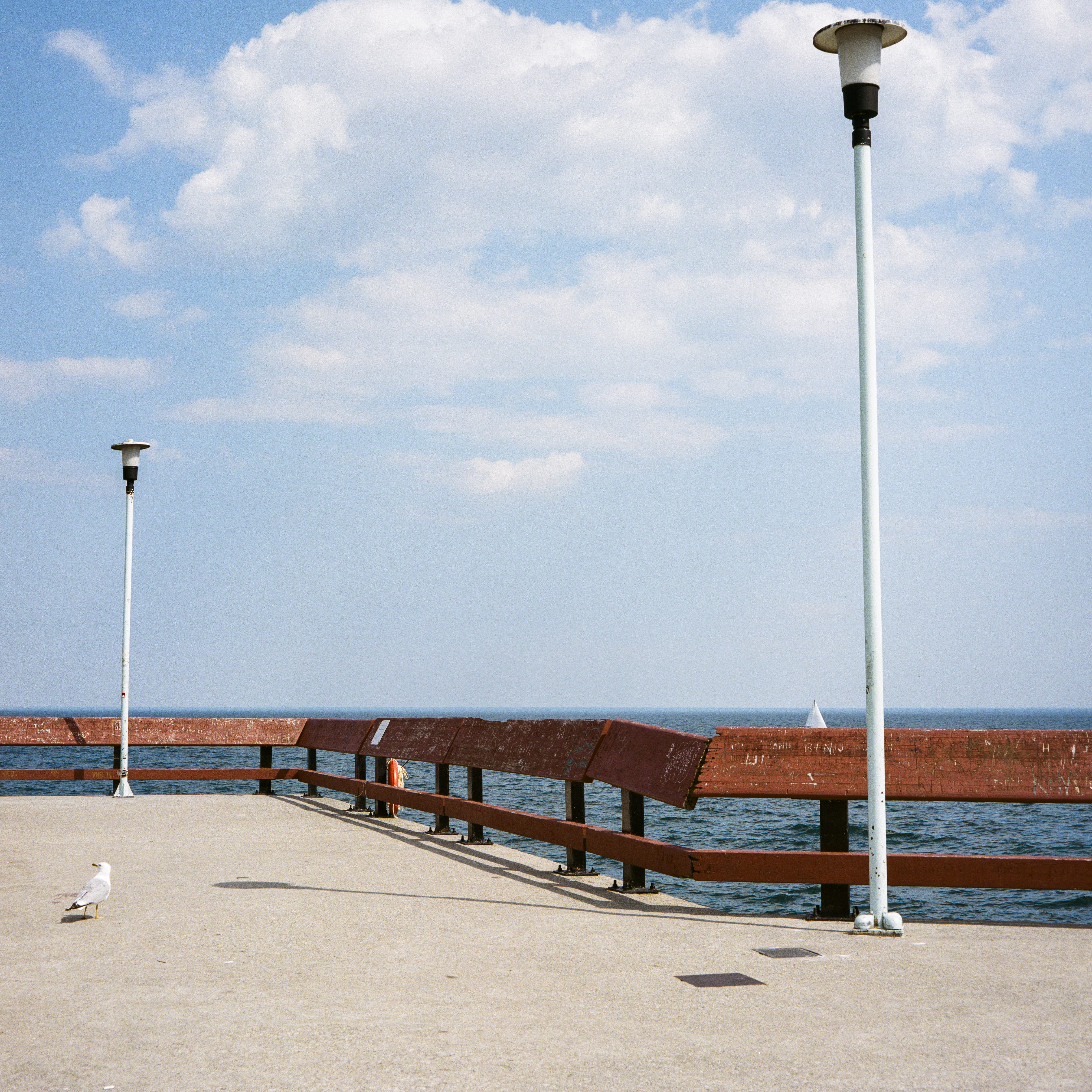 seagull, island, empty, sea, canada, view, lighting equipment, toronto, toronto island park, 4K, beauty in nature, ontario, pier, outdoors, nature, lake ontario, Phone HD Wallpaper