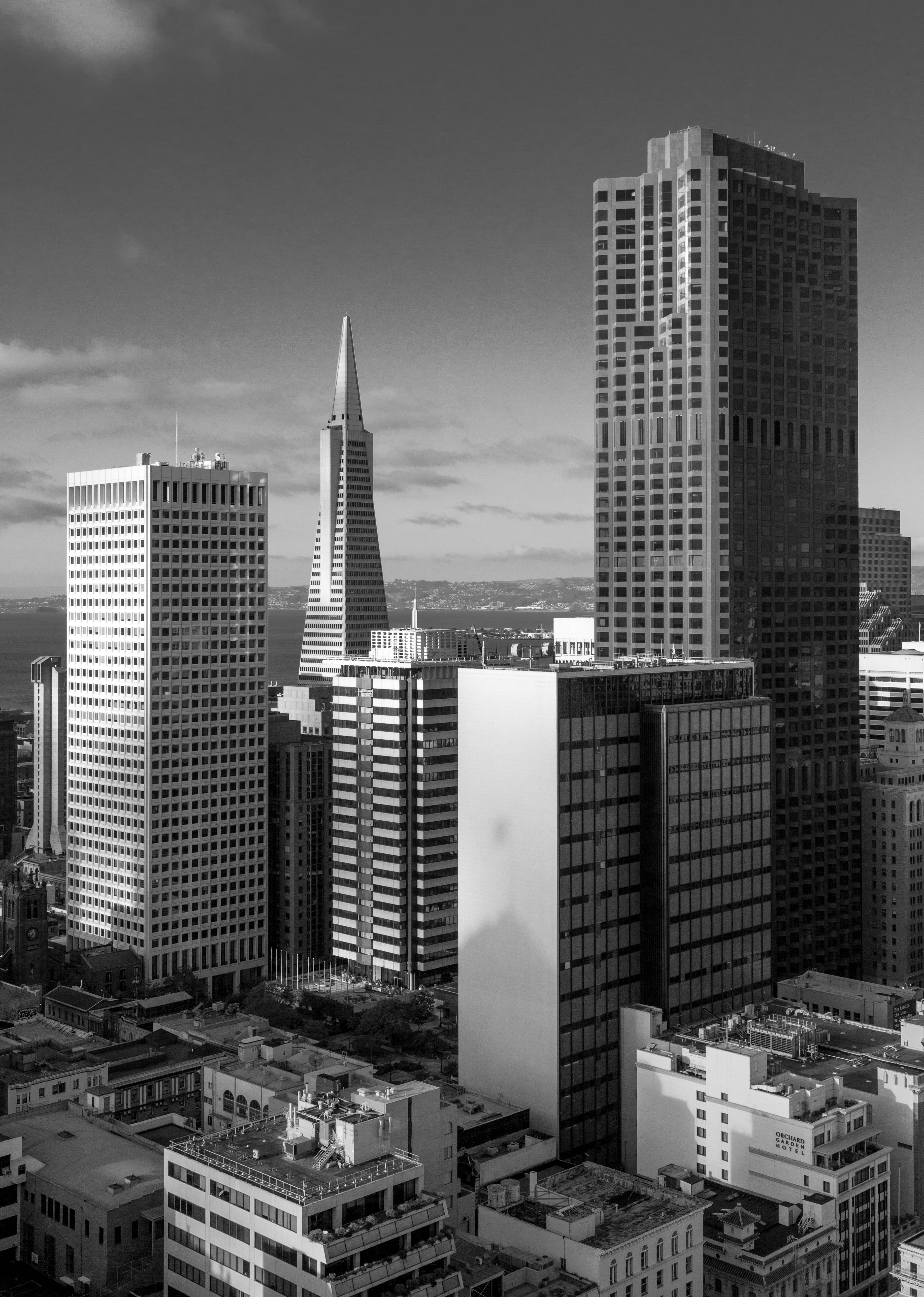 skyscraper, no people, urban skyline, architecture, tower, outdoors, united states, sky scrapers, office, tall - high, residential district, financial district, Phone HD Wallpaper