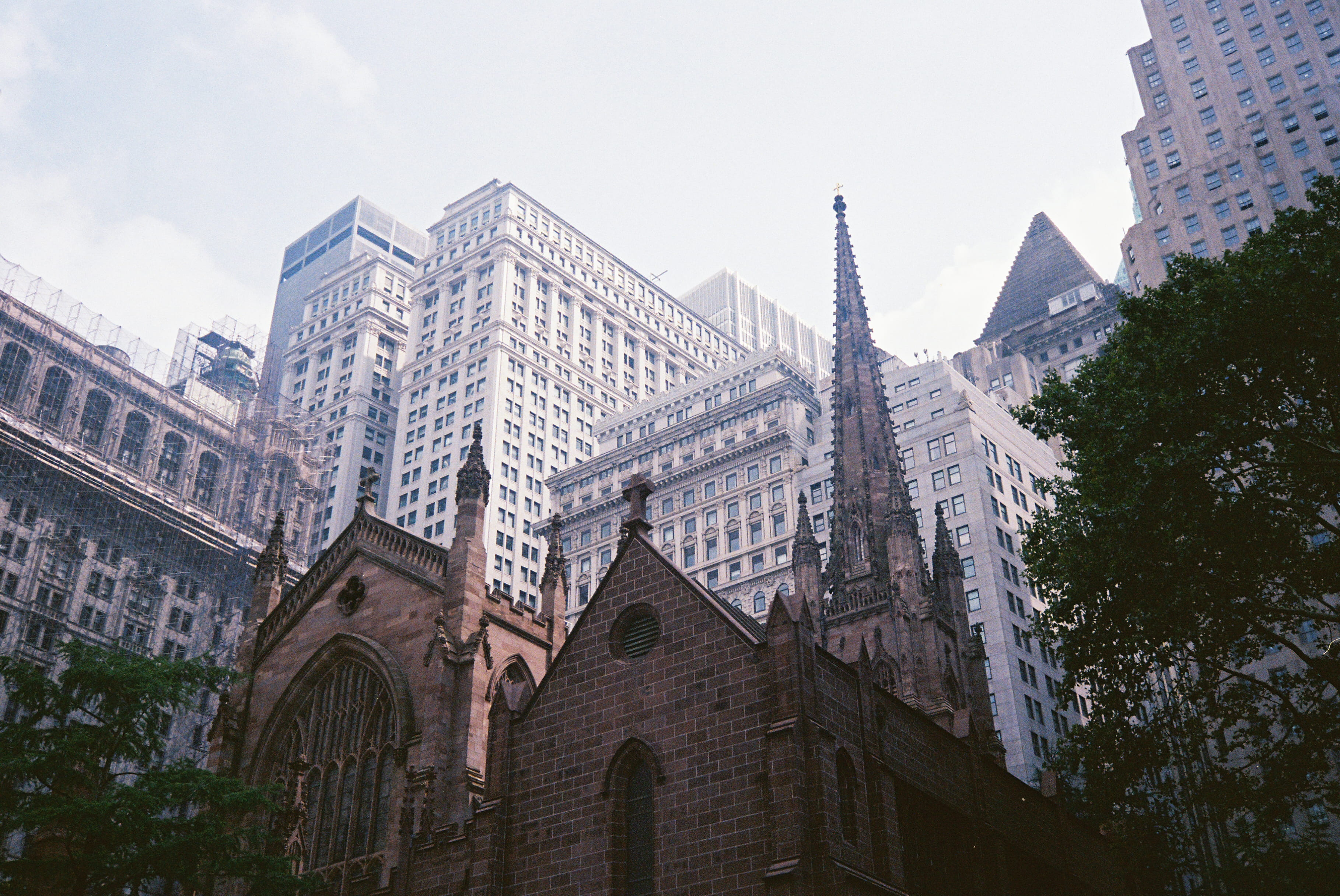 film, canon ae1, city, plant, belief, trees, 2K, portra 160, manhattan, 24mm, new york, sky, building, architecture, tree, tower, day, outdoors, religion, HD Wallpaper