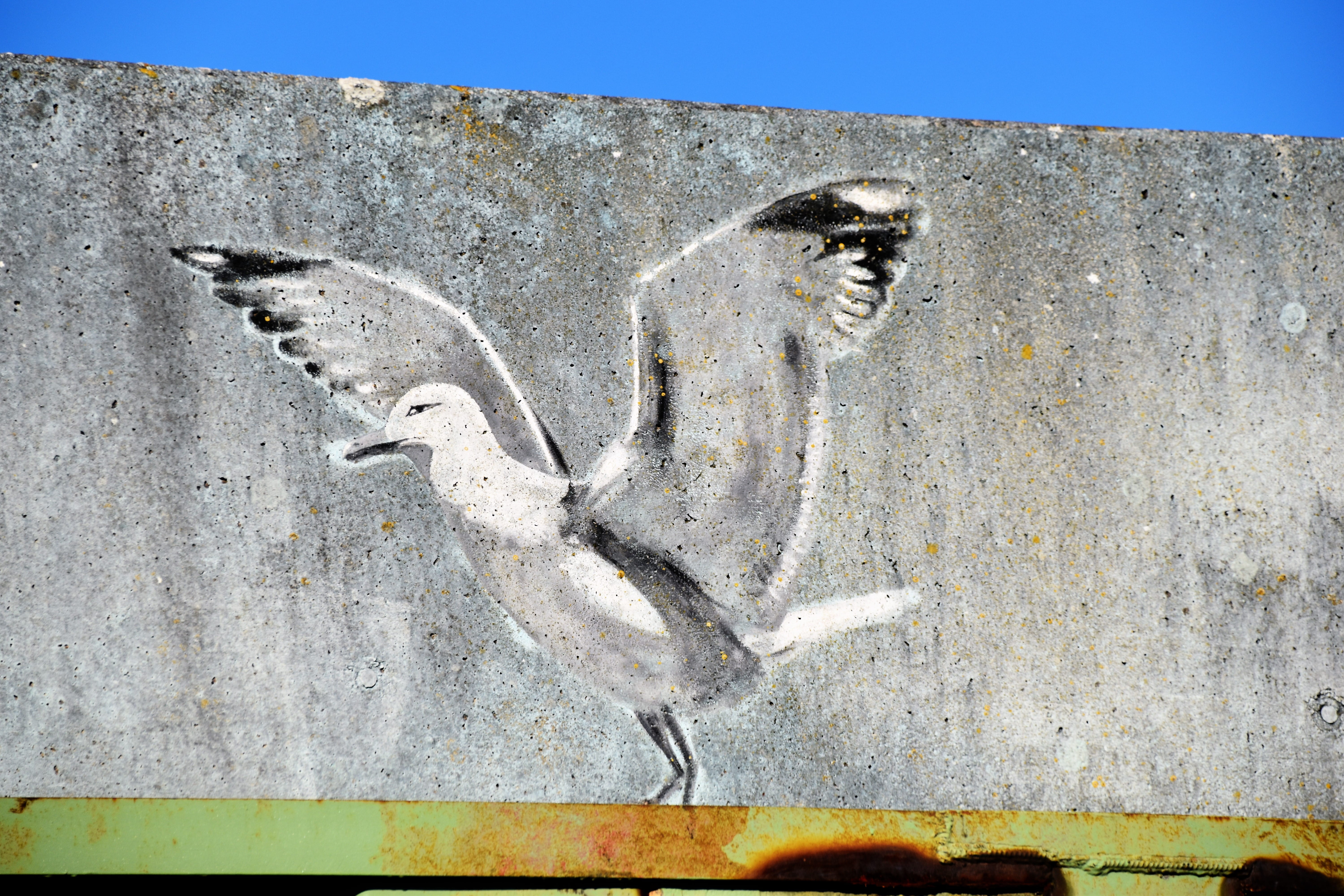 glückstadt, animal body part, sea gull, outdoors, sky, urban art, art and craft, architecture, animal representation, animal head, street art, graffiti, HD Wallpaper