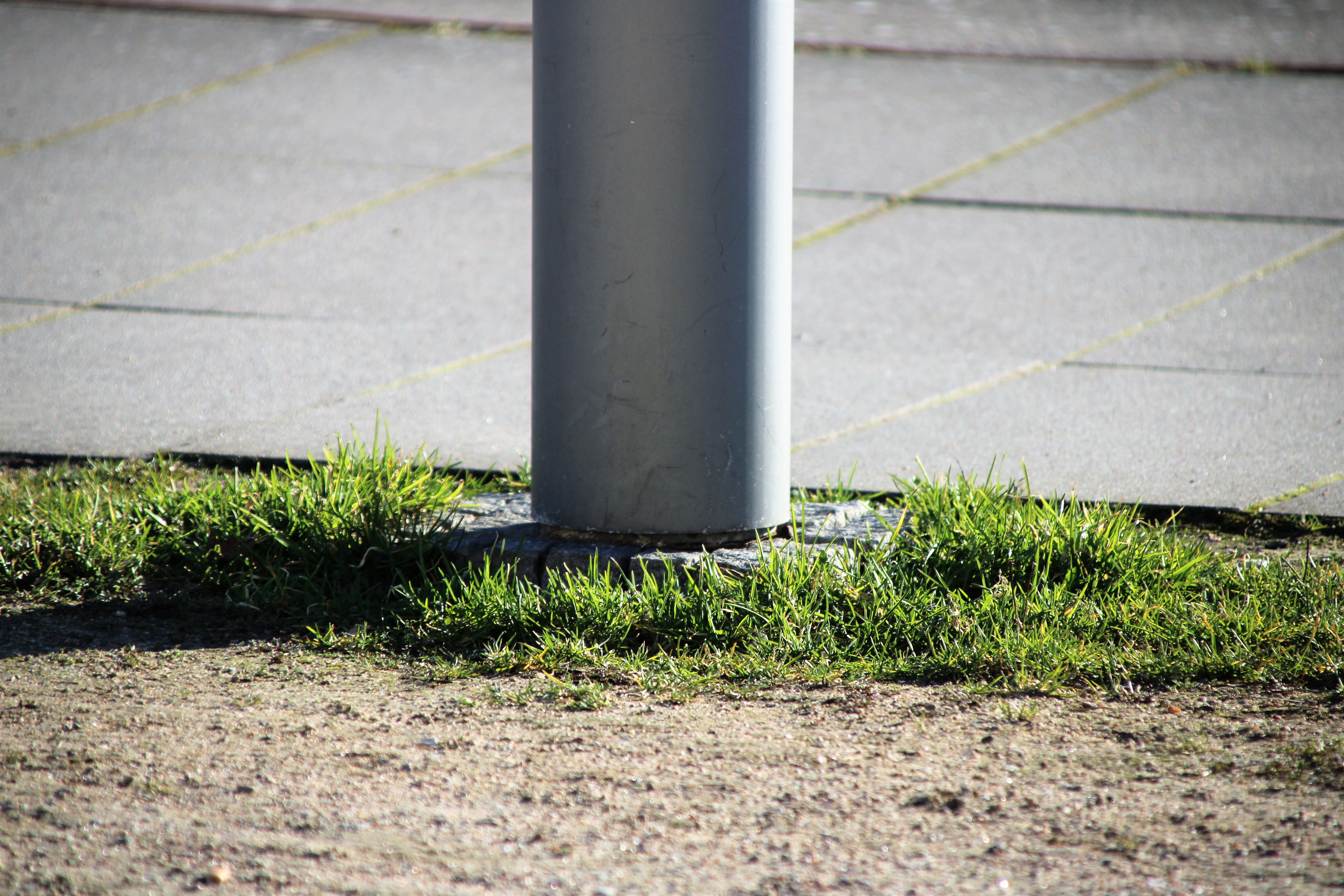 close-up, outdoors, wildlife, tarmac, ground, growth, 5K, flagstone, wheel, day, plant, alloy wheel, cylinder, glückstadt, architecture, grass, dividing line, HD Wallpaper