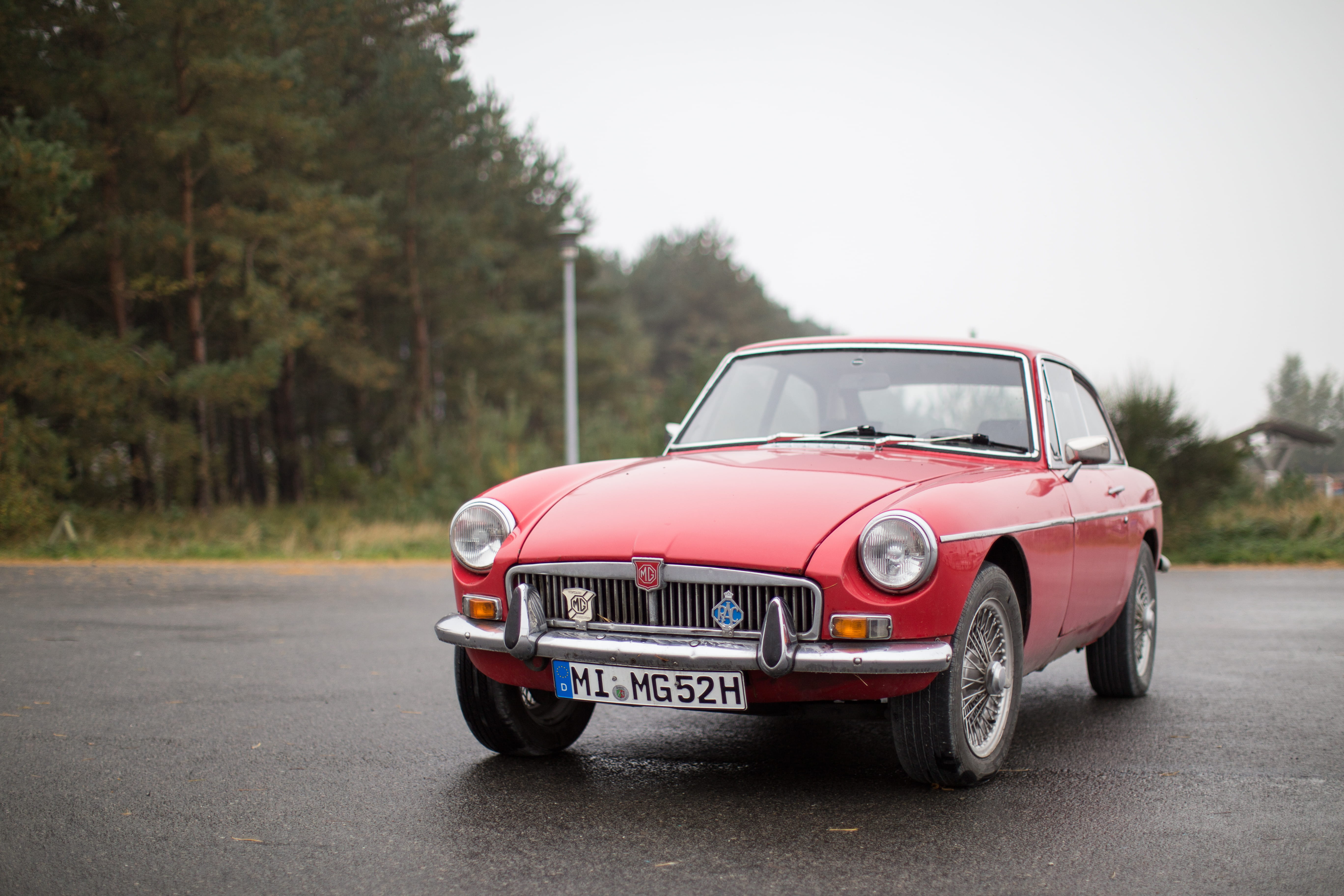 retro styled, nature, mode of transportation, sports car, convertible, luxury, classic, vintage car, tree, land vehicle, copy space, road trip, collectors car, HD Wallpaper