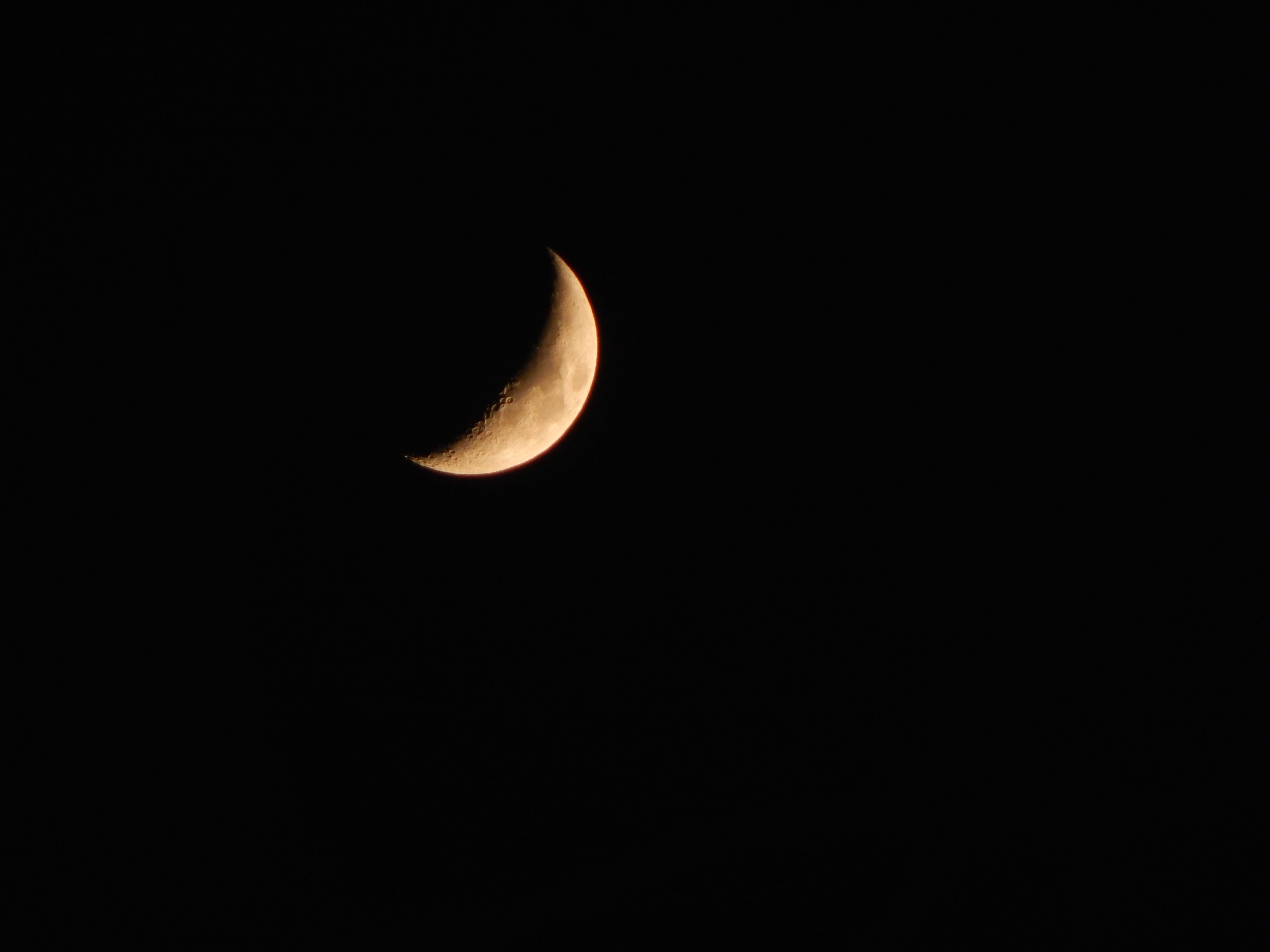nacht, planetary moon, natural phenomenon, low angle view, half moon, curve, moonlight, moon, night, astrology, beauty in nature, scenics - nature, dark, HD Wallpaper