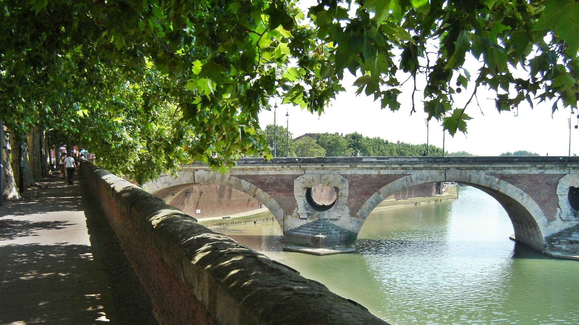 plant, bridge - man made structure, bridge, green color, architecture, engineering, water, nature, outdoors, Pont-Neuf, arch, Toulouse, arch bridge, day, HD Wallpaper