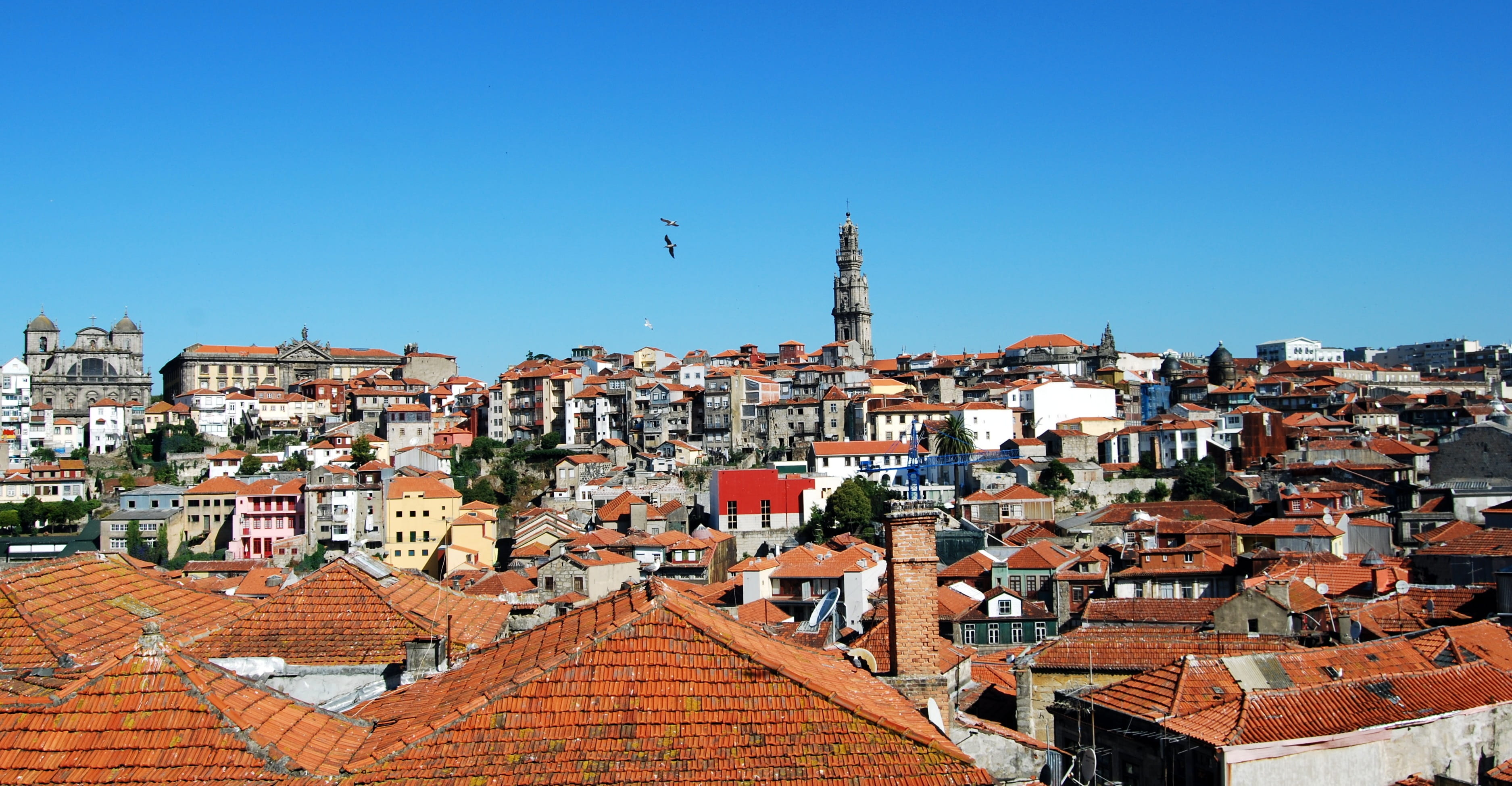 day, nature, City, crowd, townscape, 2K, cityscape, sunny, portugal, high angle view, oporto, Oporto, architecture, village, blue, house, town, houses, HD Wallpaper