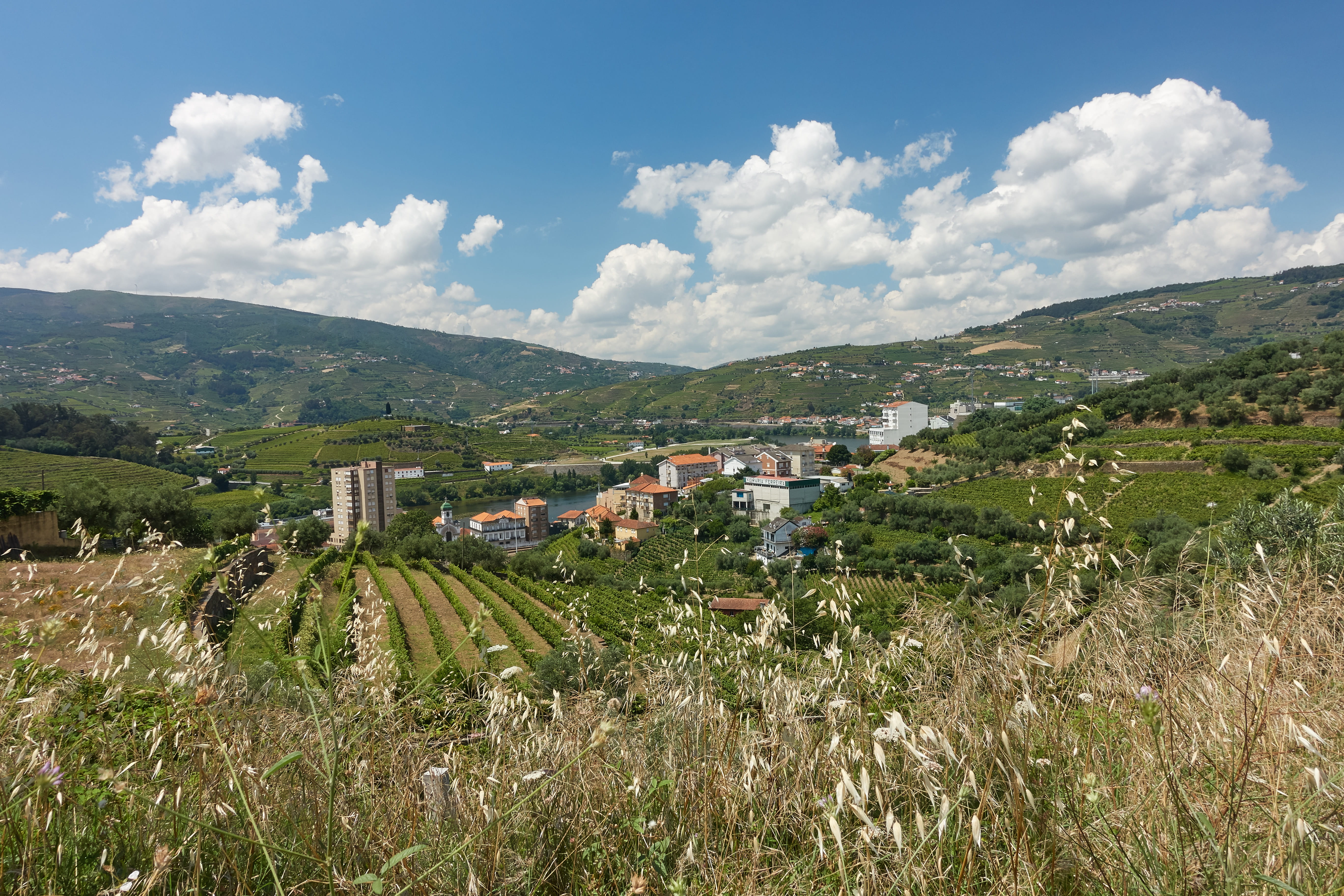 cloud, douro, building exterior, wine, agriculture, peso da régua, no people, regua, growth, scenics - nature, portugal, field, environment, architecture, HD Wallpaper